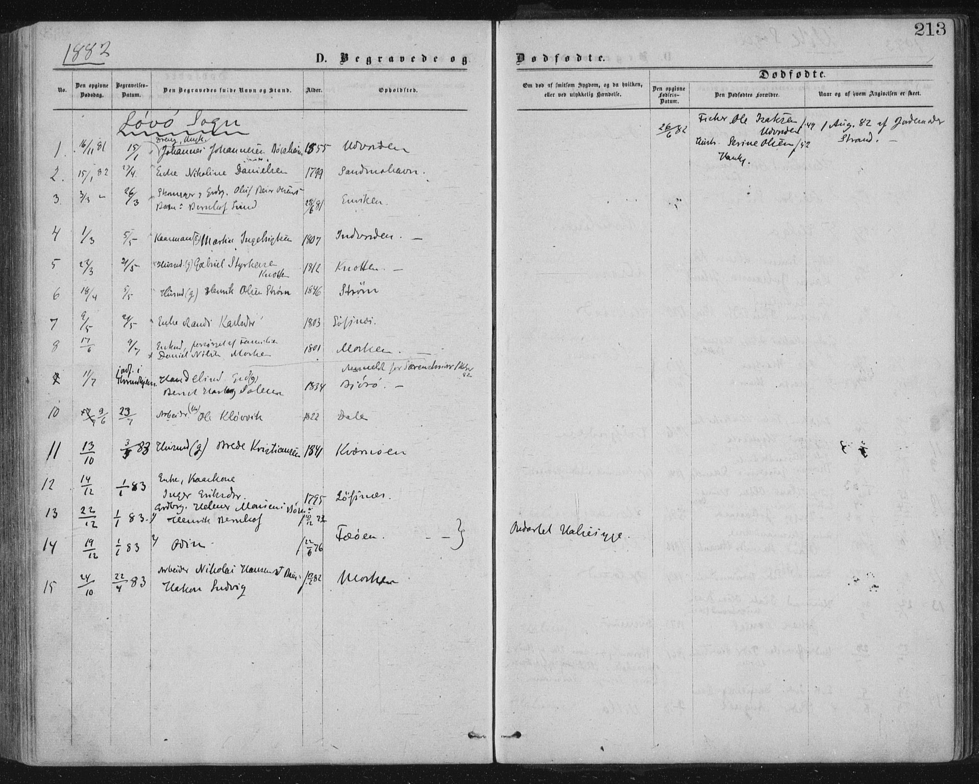 Ministerialprotokoller, klokkerbøker og fødselsregistre - Nord-Trøndelag, AV/SAT-A-1458/771/L0596: Parish register (official) no. 771A03, 1870-1884, p. 213