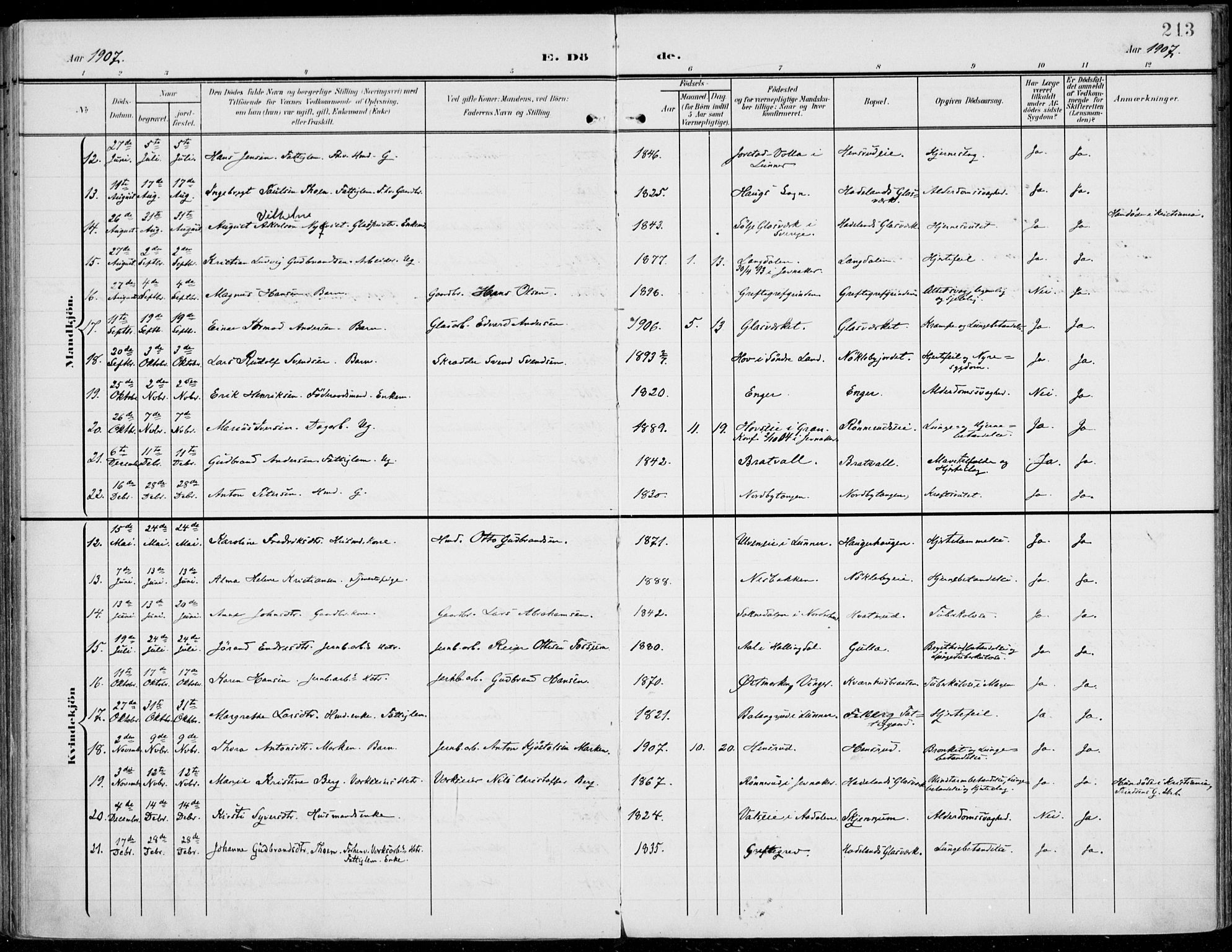 Jevnaker prestekontor, SAH/PREST-116/H/Ha/Haa/L0011: Parish register (official) no. 11, 1902-1913, p. 213