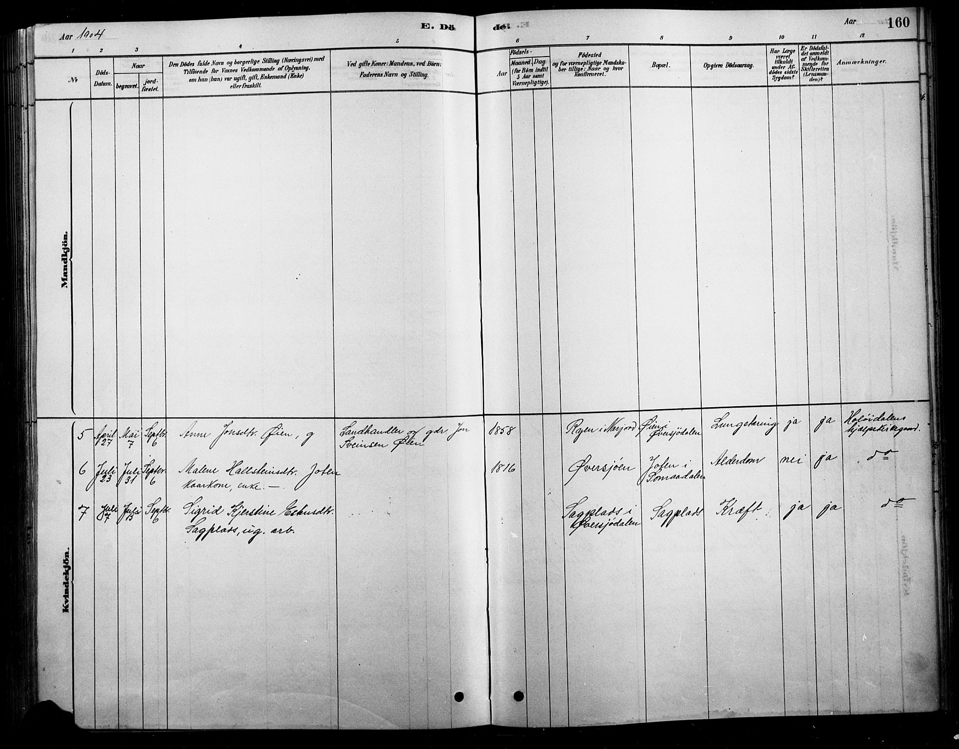 Tolga prestekontor, SAH/PREST-062/L/L0007: Parish register (copy) no. 7, 1878-1919, p. 160