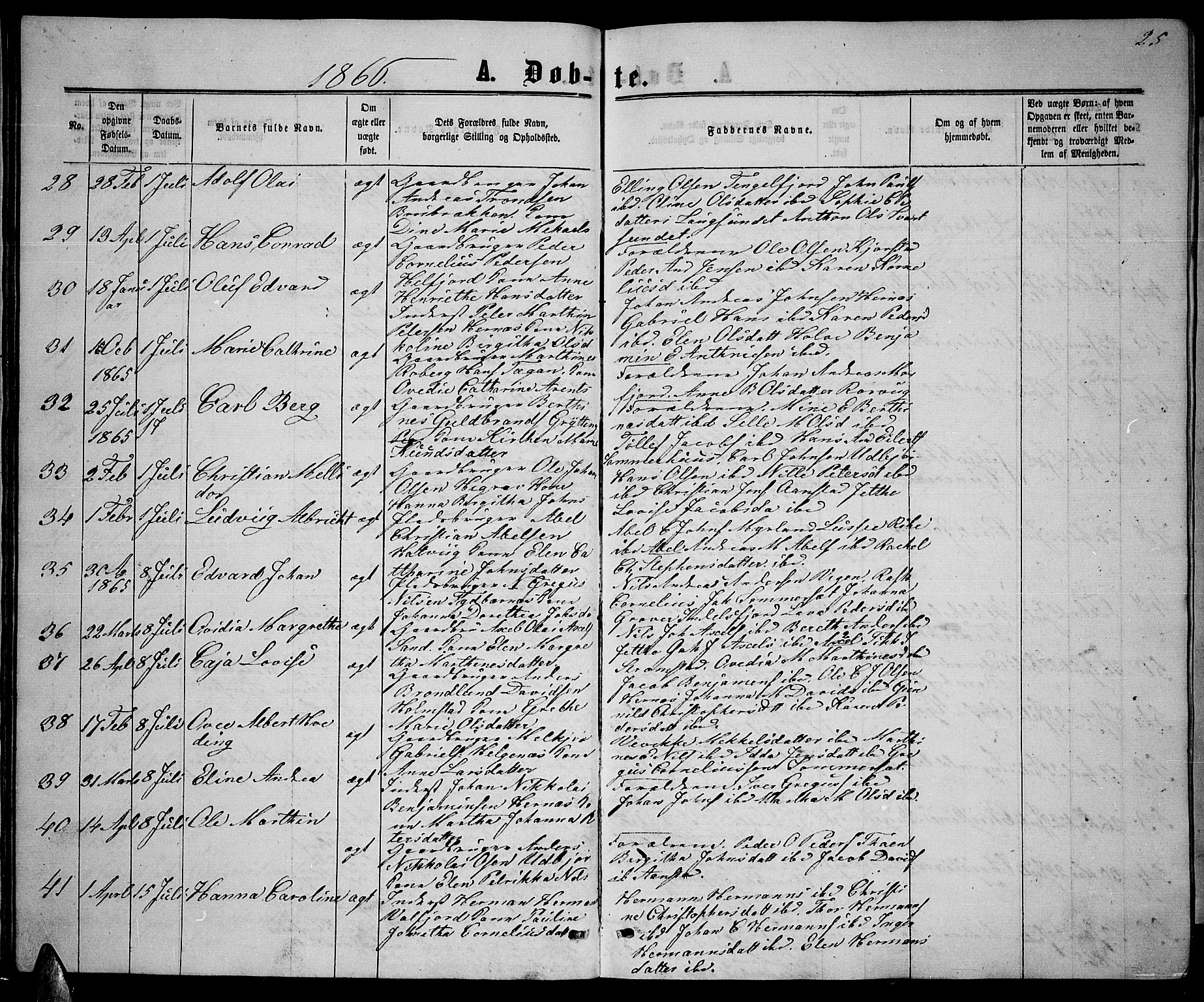 Ministerialprotokoller, klokkerbøker og fødselsregistre - Nordland, AV/SAT-A-1459/888/L1266: Parish register (copy) no. 888C04, 1864-1877, p. 25