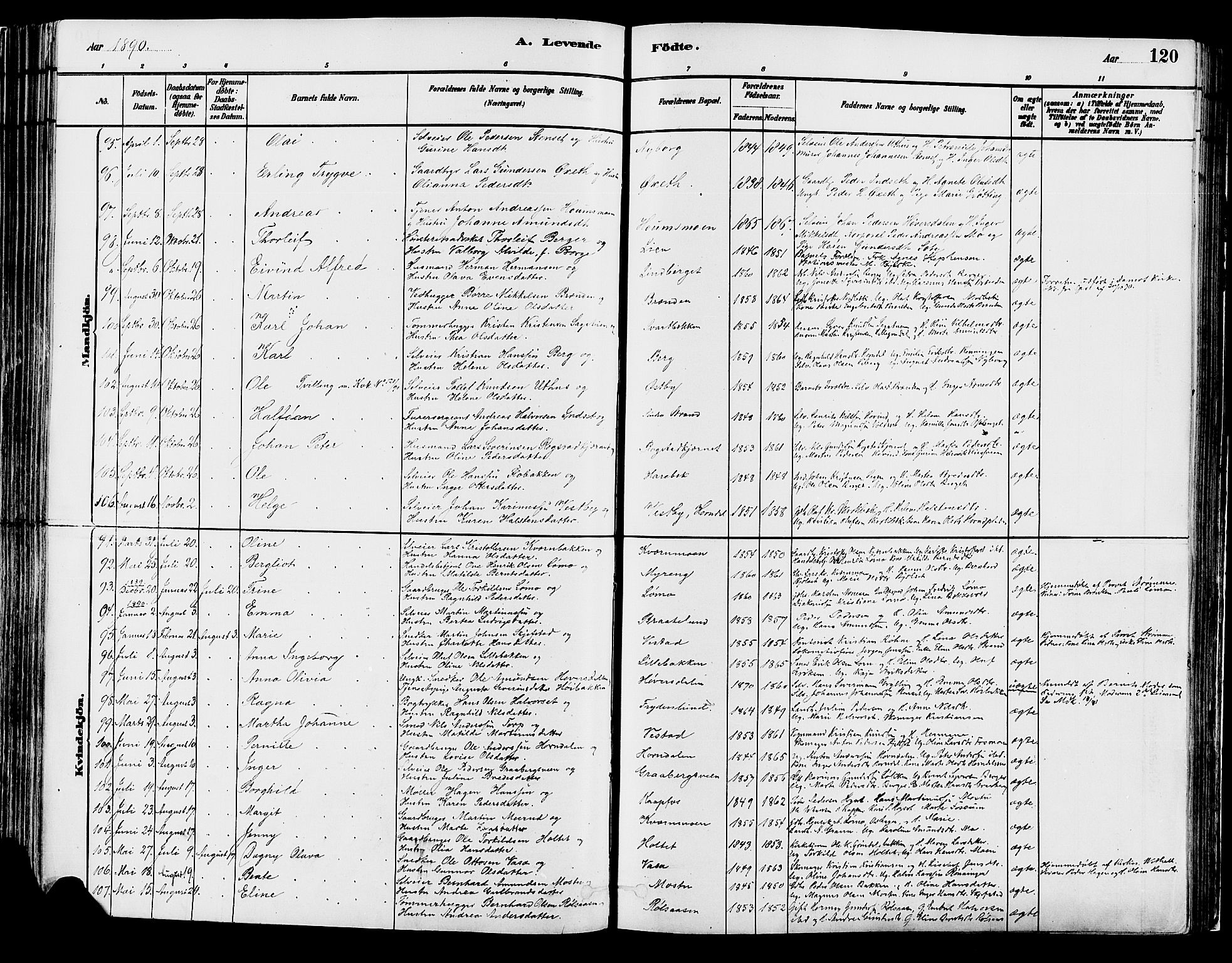 Elverum prestekontor, AV/SAH-PREST-044/H/Ha/Haa/L0013: Parish register (official) no. 13, 1880-1890, p. 120