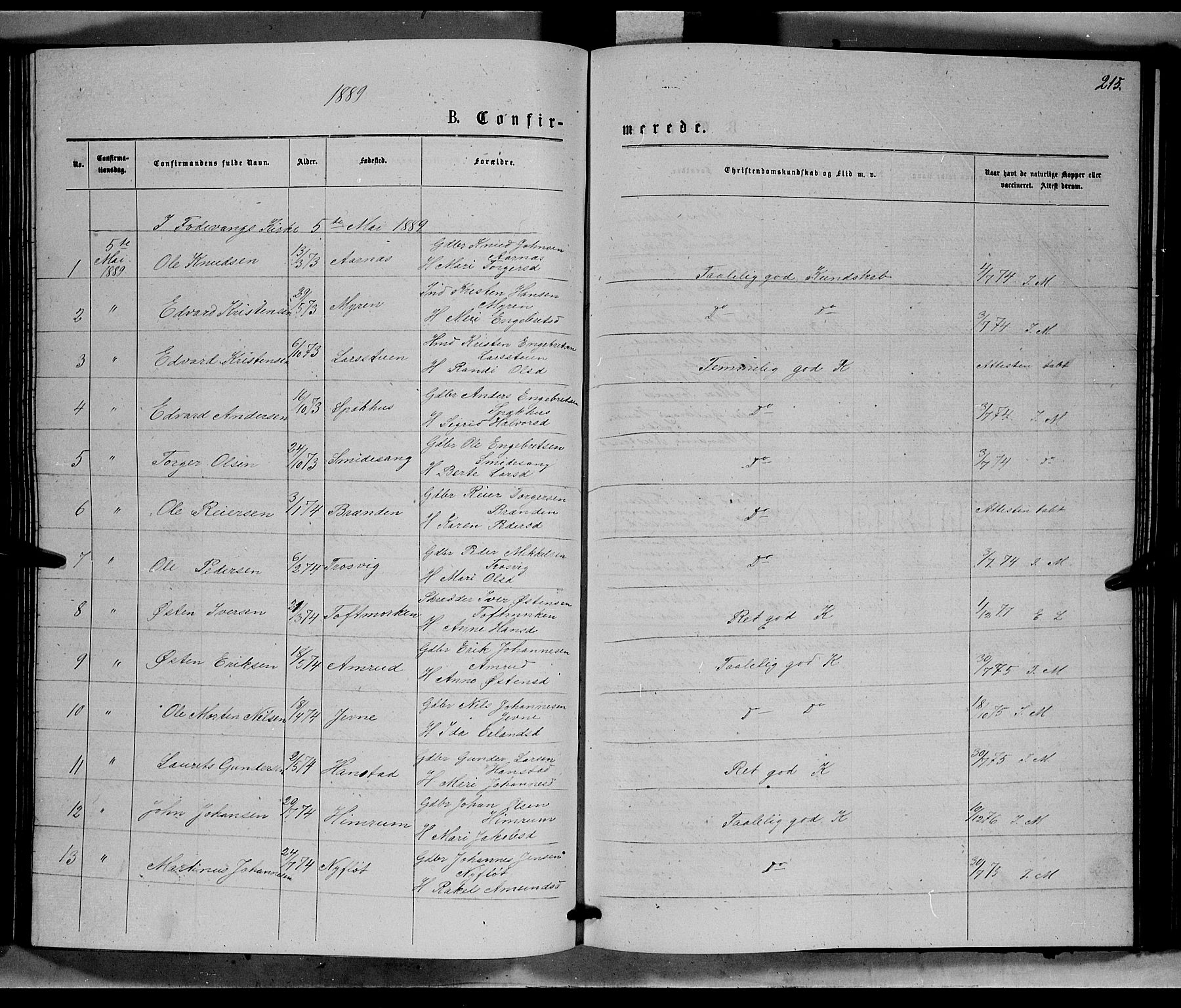 Ringebu prestekontor, AV/SAH-PREST-082/H/Ha/Hab/L0006: Parish register (copy) no. 6, 1880-1898, p. 215