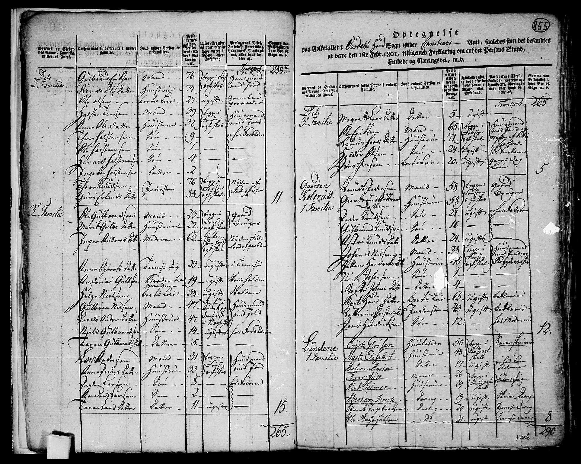 RA, 1801 census for 0542P Aurdal, 1801, p. 854b-855a