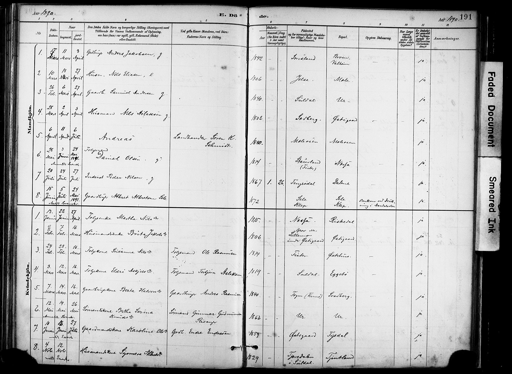 Hjelmeland sokneprestkontor, AV/SAST-A-101843/02/A/L0001: Parish register (official) no. A 16, 1887-1926, p. 191