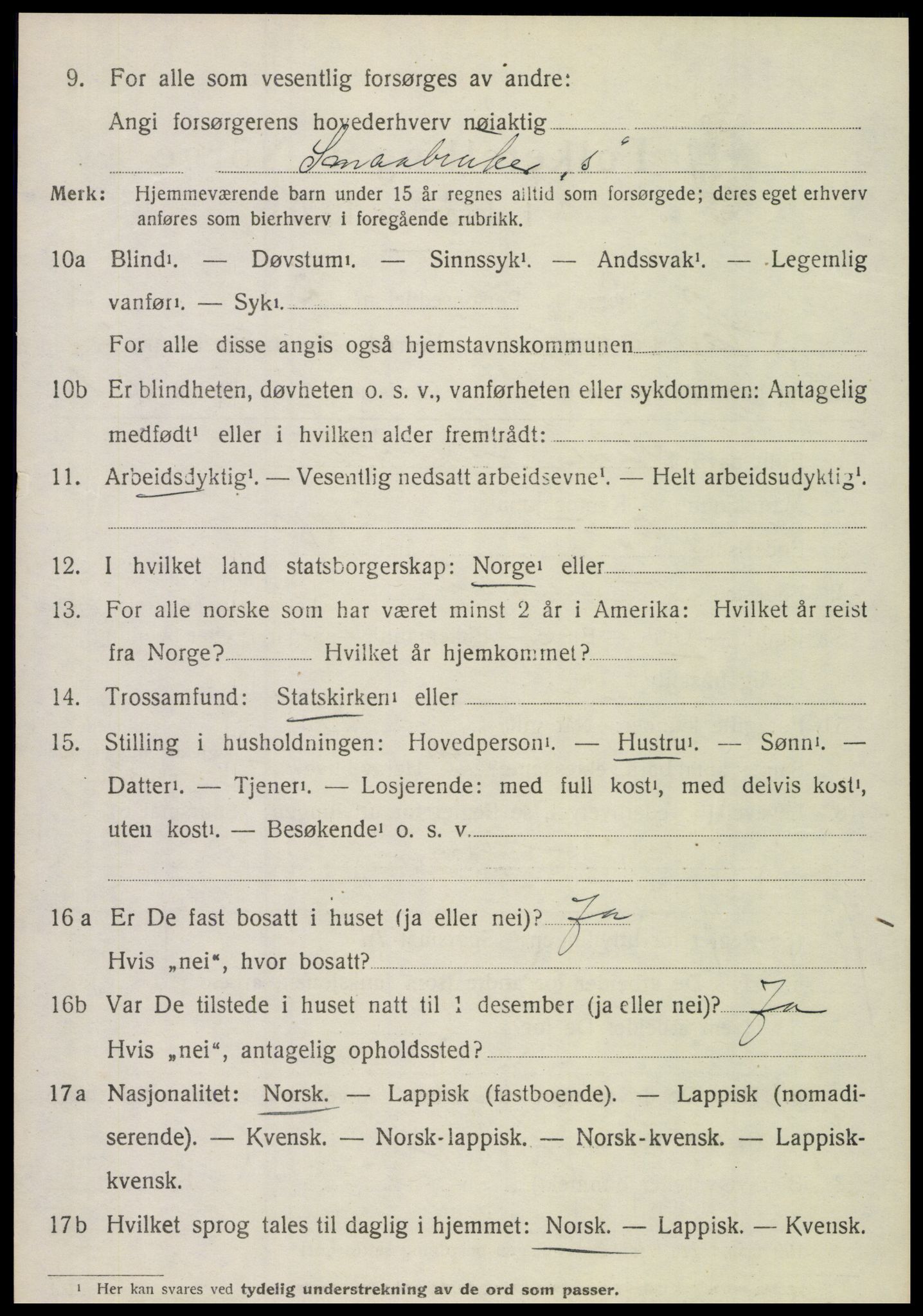 SAT, 1920 census for Hamarøy, 1920, p. 2019