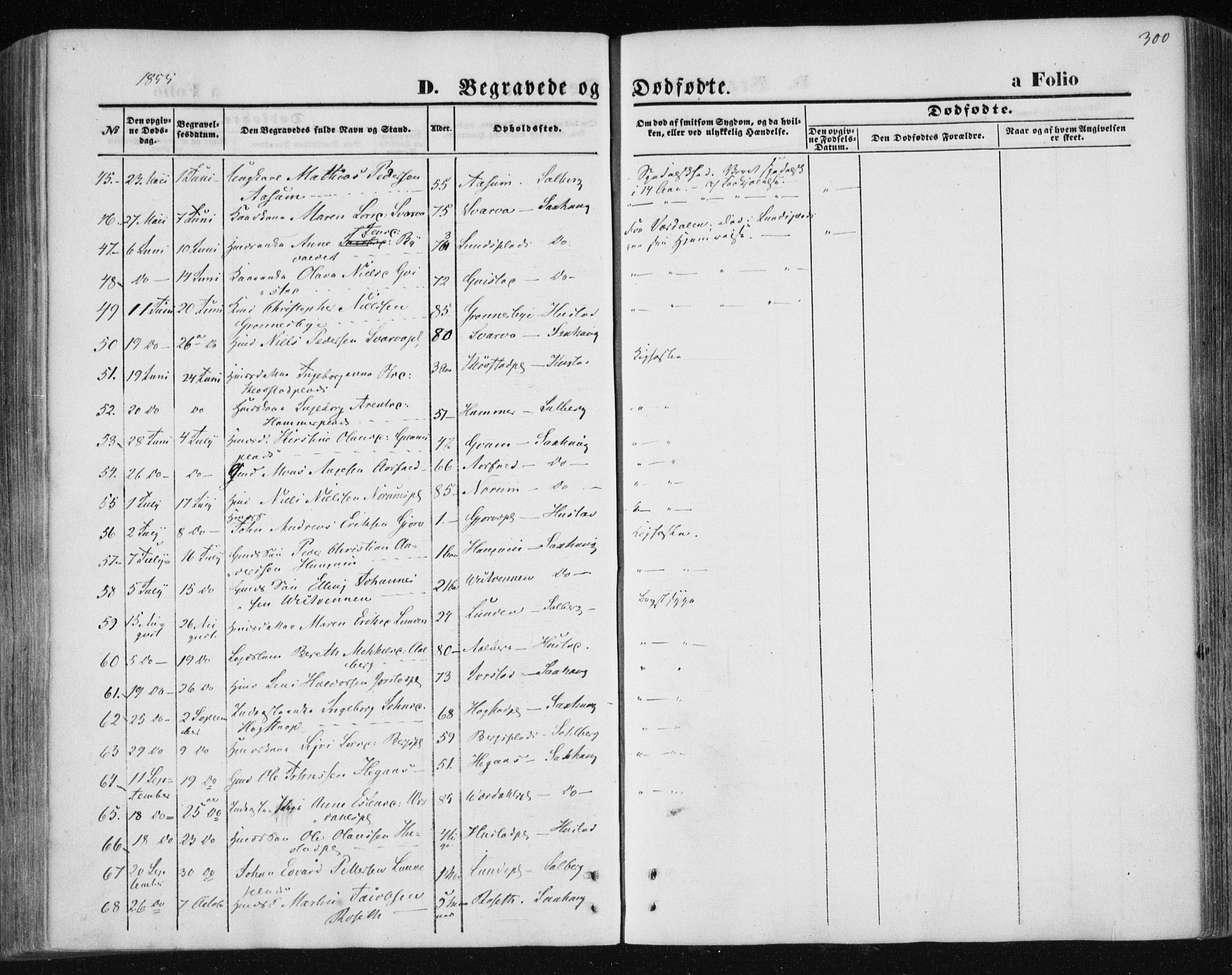 Ministerialprotokoller, klokkerbøker og fødselsregistre - Nord-Trøndelag, AV/SAT-A-1458/730/L0283: Parish register (official) no. 730A08, 1855-1865, p. 300