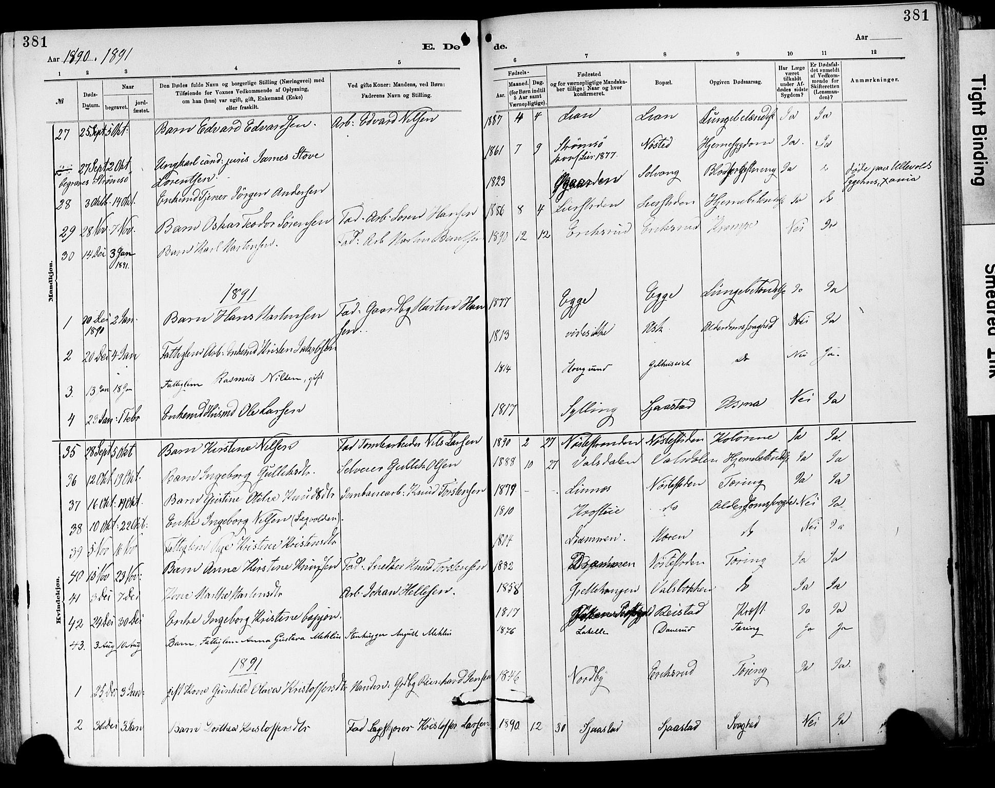 Lier kirkebøker, AV/SAKO-A-230/F/Fa/L0015: Parish register (official) no. I 15, 1883-1894, p. 381