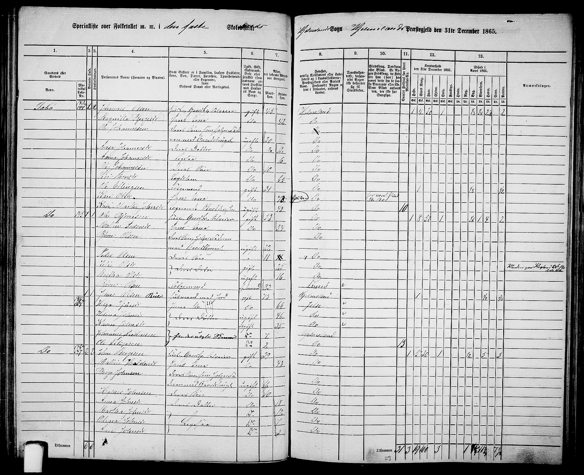 RA, 1865 census for Hjelmeland, 1865, p. 95