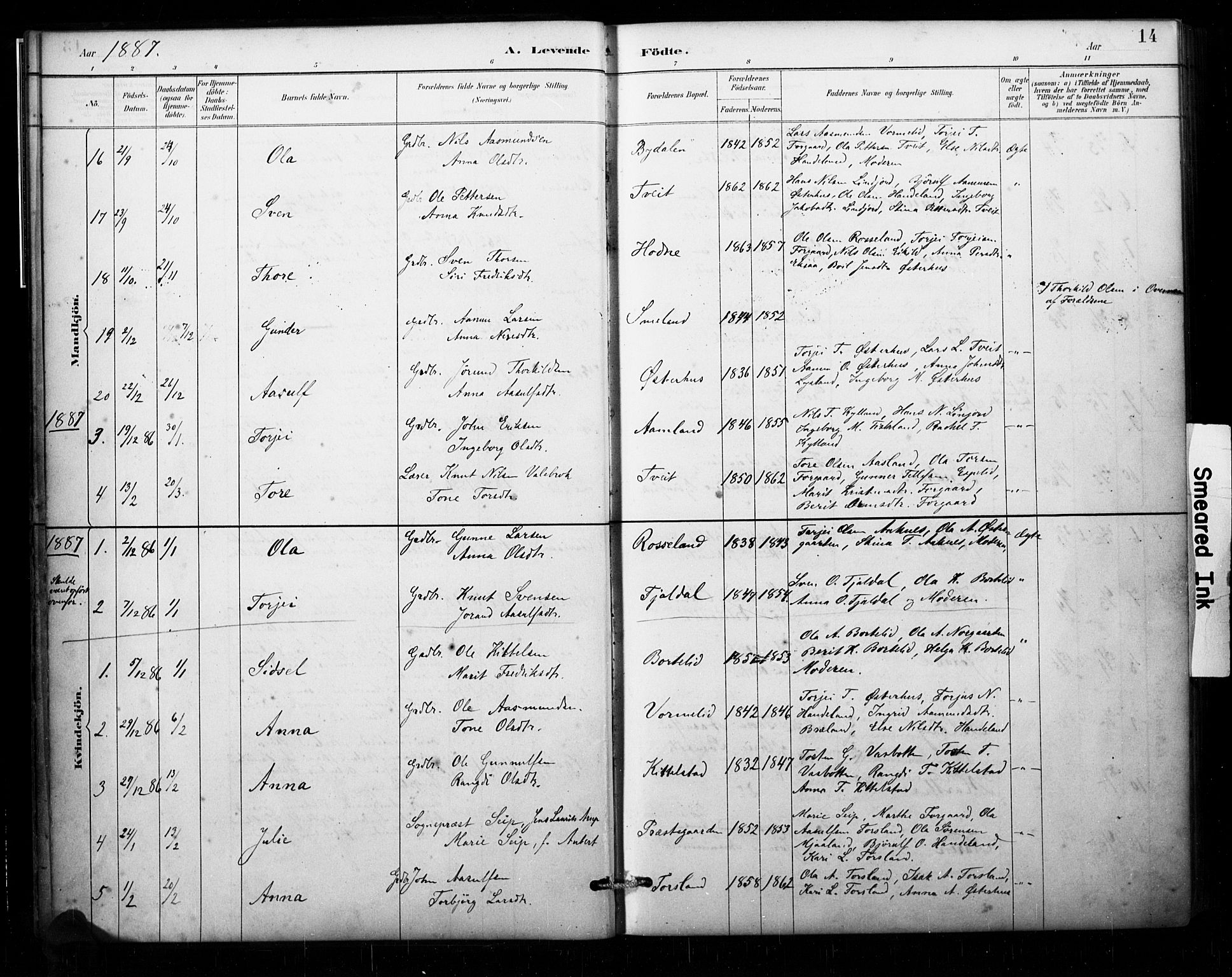 Åseral sokneprestkontor, AV/SAK-1111-0051/F/Fa/L0003: Parish register (official) no. A 3, 1884-1901, p. 14