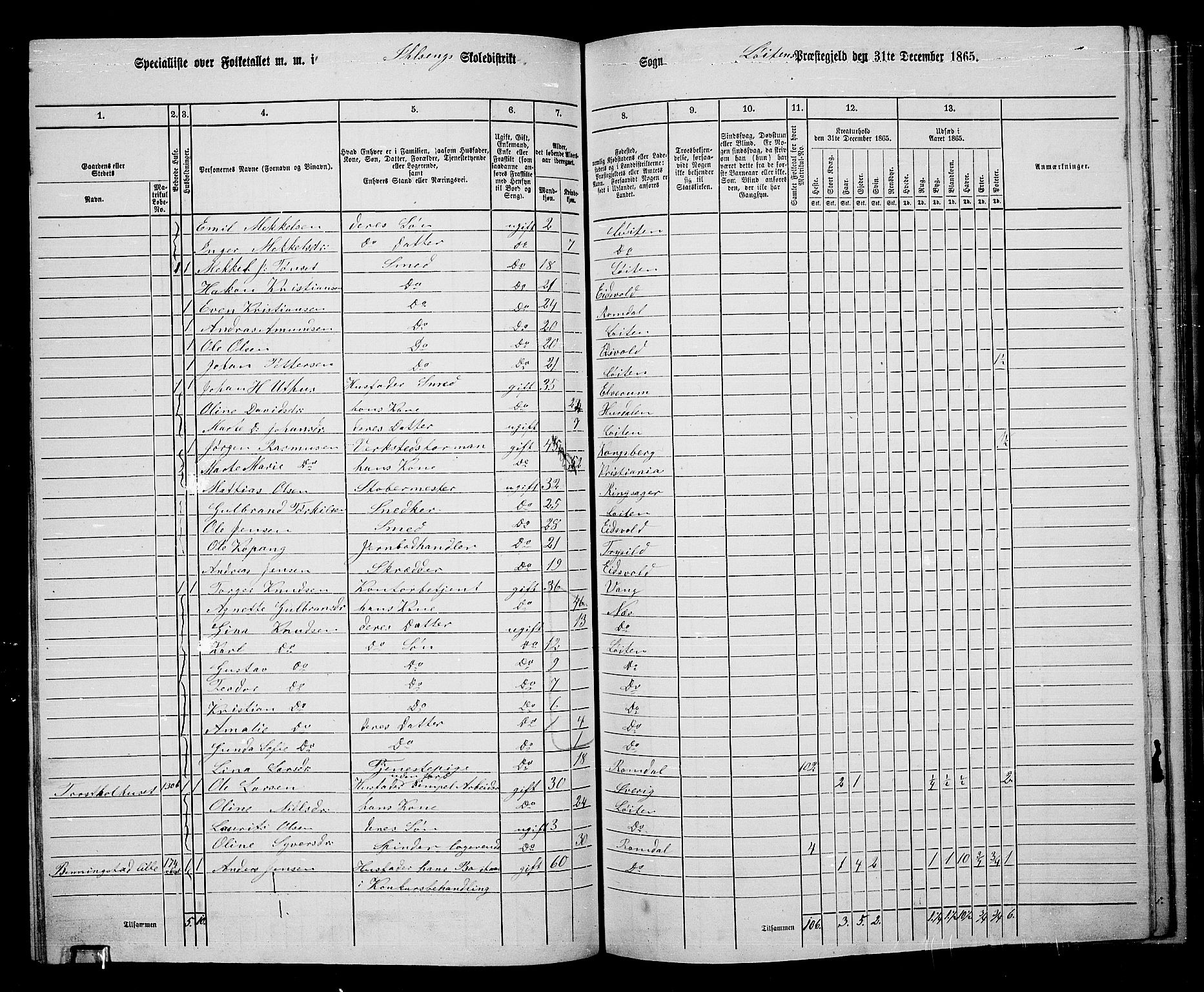 RA, 1865 census for Løten, 1865, p. 80