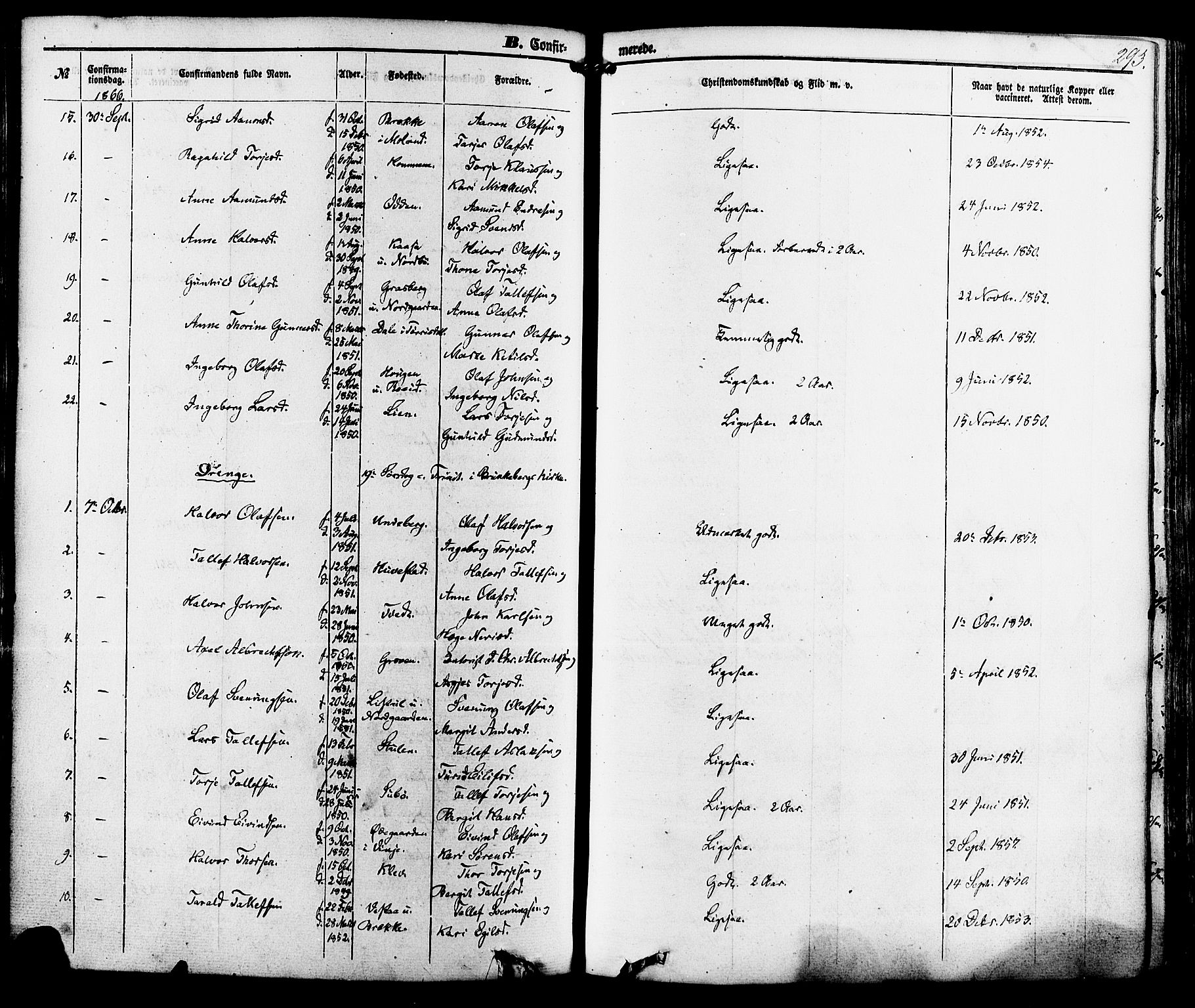 Kviteseid kirkebøker, SAKO/A-276/F/Fa/L0007: Parish register (official) no. I 7, 1859-1881, p. 293