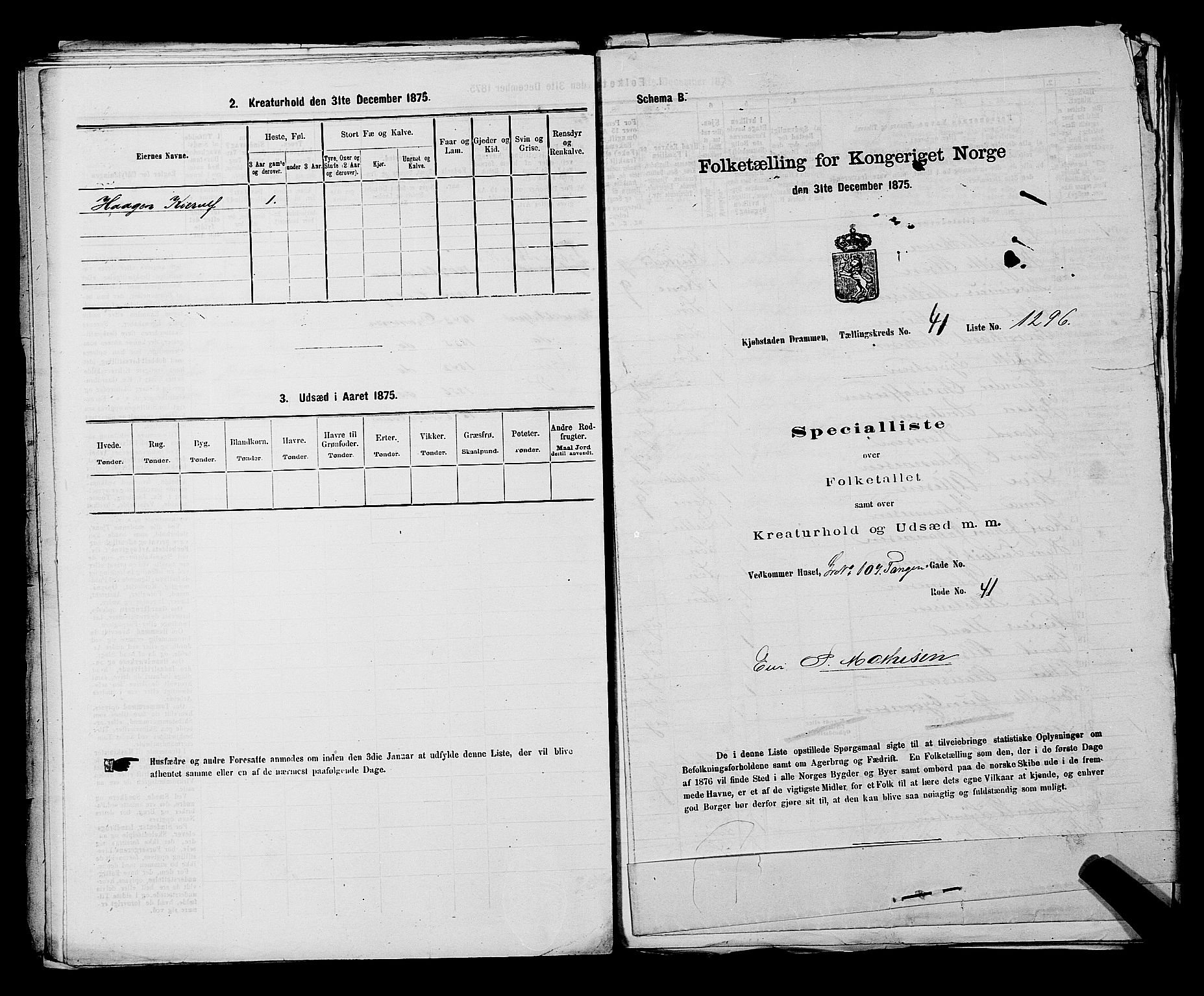 SAKO, 1875 census for 0602 Drammen, 1875, p. 3530