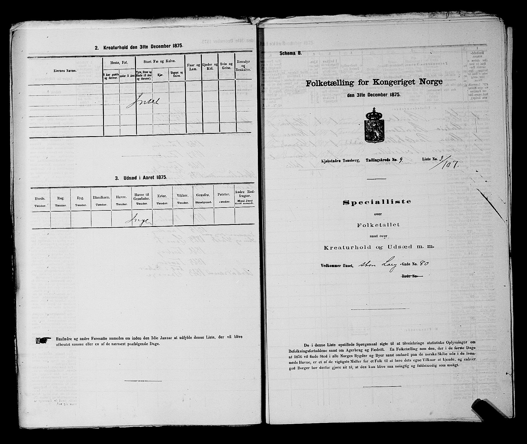 SAKO, 1875 census for 0705P Tønsberg, 1875, p. 272