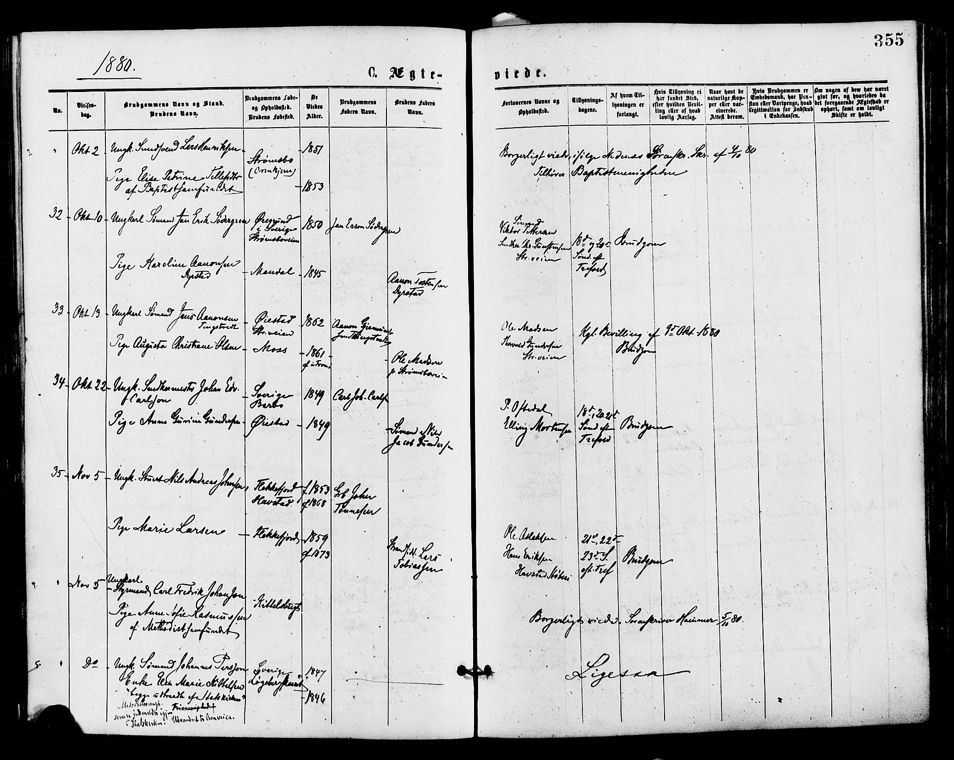 Barbu sokneprestkontor, AV/SAK-1111-0003/F/Fa/L0001: Parish register (official) no. A 1 /1, 1878-1883, p. 355