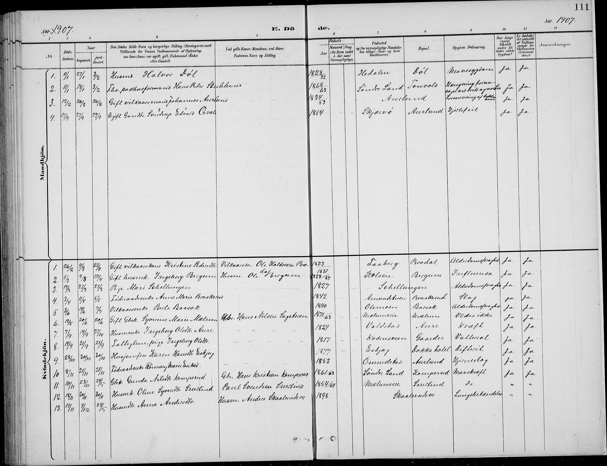 Nordre Land prestekontor, SAH/PREST-124/H/Ha/Hab/L0014: Parish register (copy) no. 14, 1891-1907, p. 111