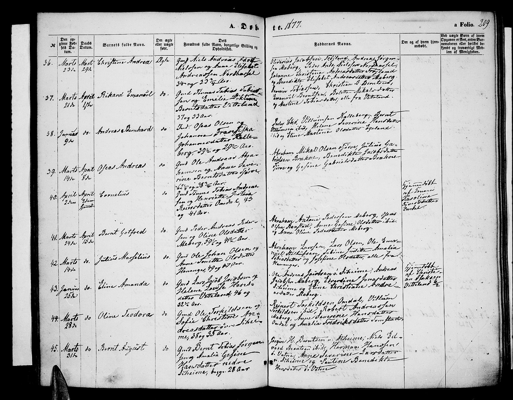 Lista sokneprestkontor, AV/SAK-1111-0027/F/Fb/L0003: Parish register (copy) no. B 3, 1862-1877, p. 209