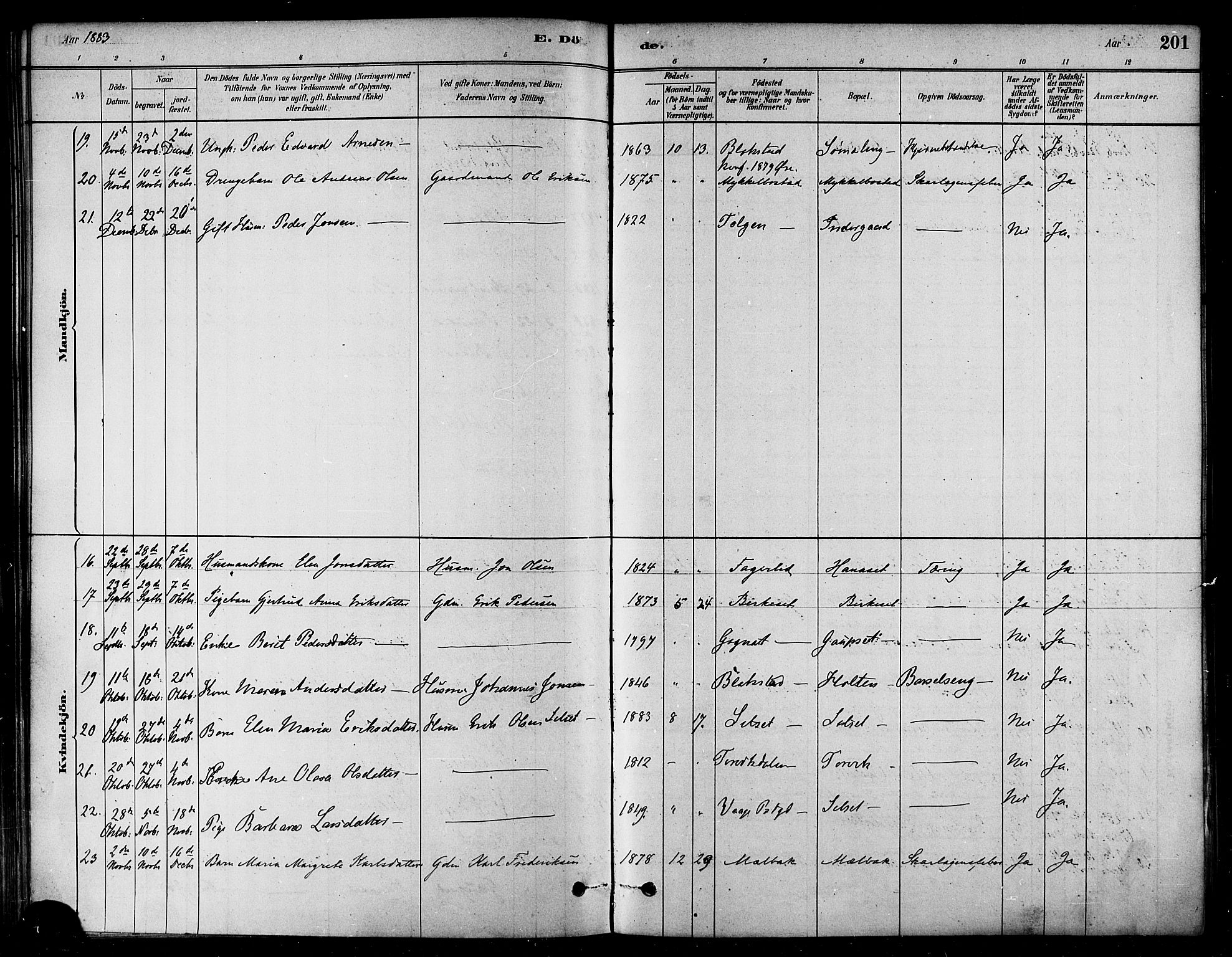 Ministerialprotokoller, klokkerbøker og fødselsregistre - Møre og Romsdal, SAT/A-1454/584/L0967: Parish register (official) no. 584A07, 1879-1894, p. 201