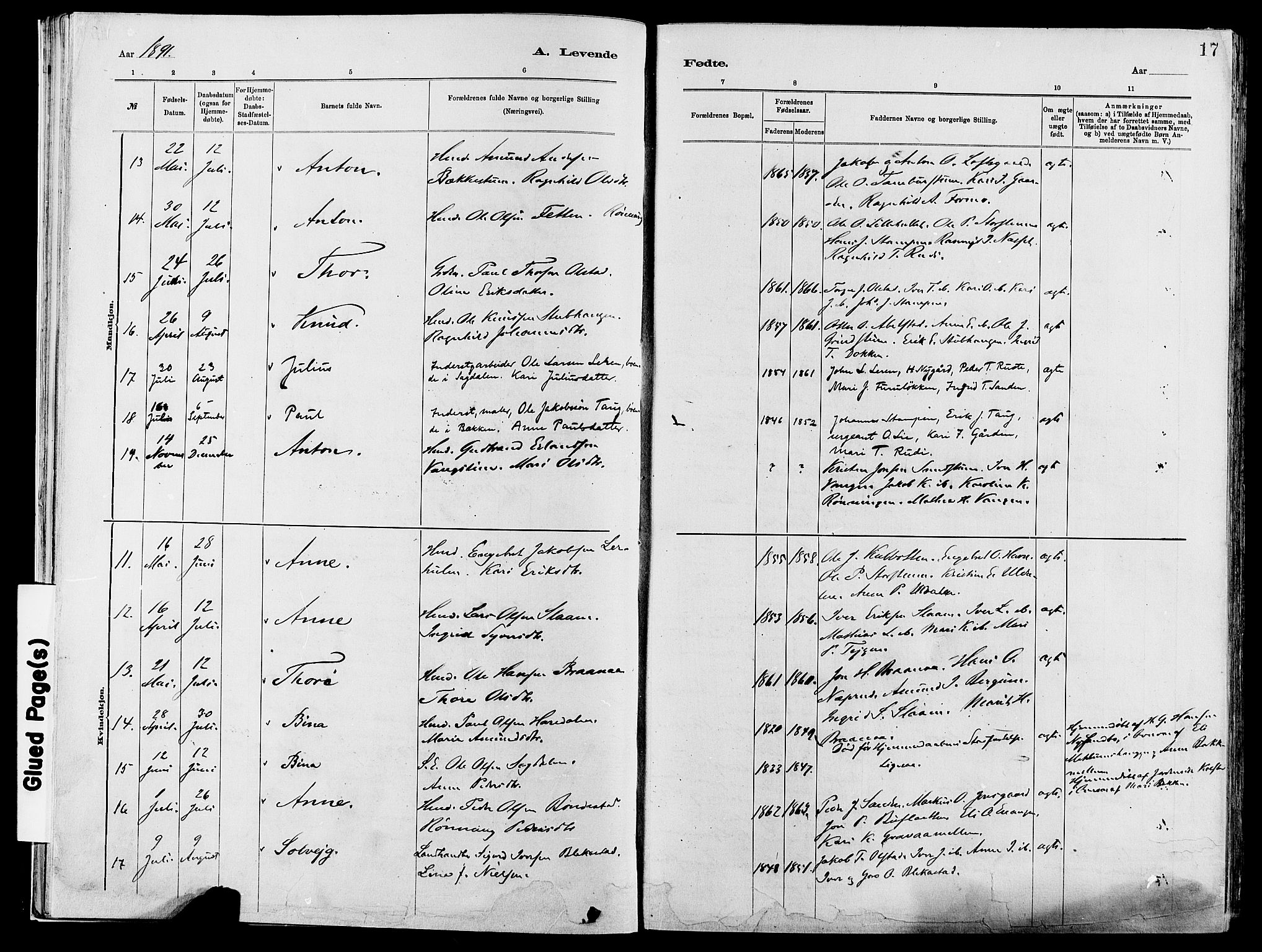 Vågå prestekontor, AV/SAH-PREST-076/H/Ha/Haa/L0008: Parish register (official) no. 8, 1886-1904, p. 17