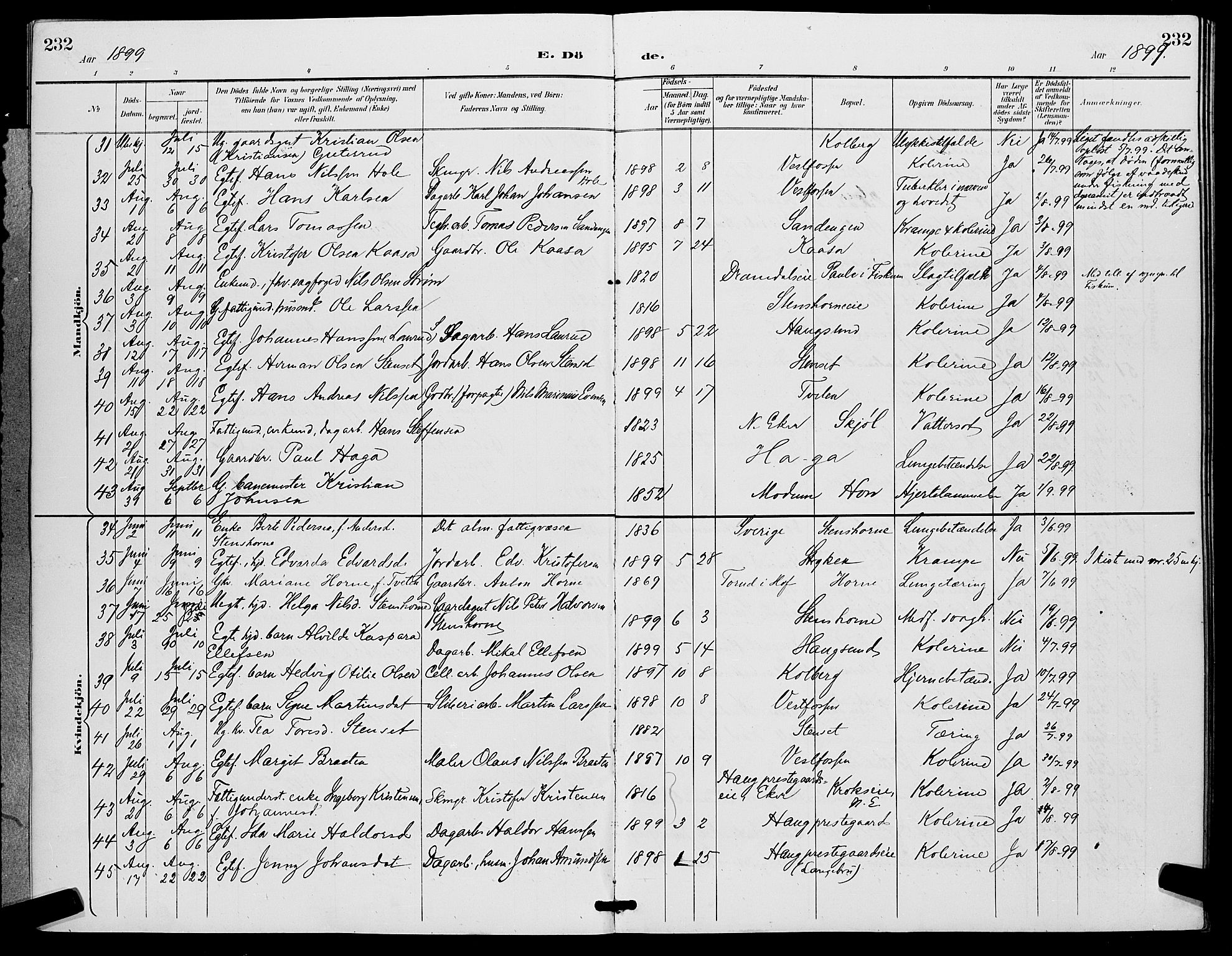 Eiker kirkebøker, SAKO/A-4/G/Ga/L0007: Parish register (copy) no. I 7, 1893-1902, p. 232