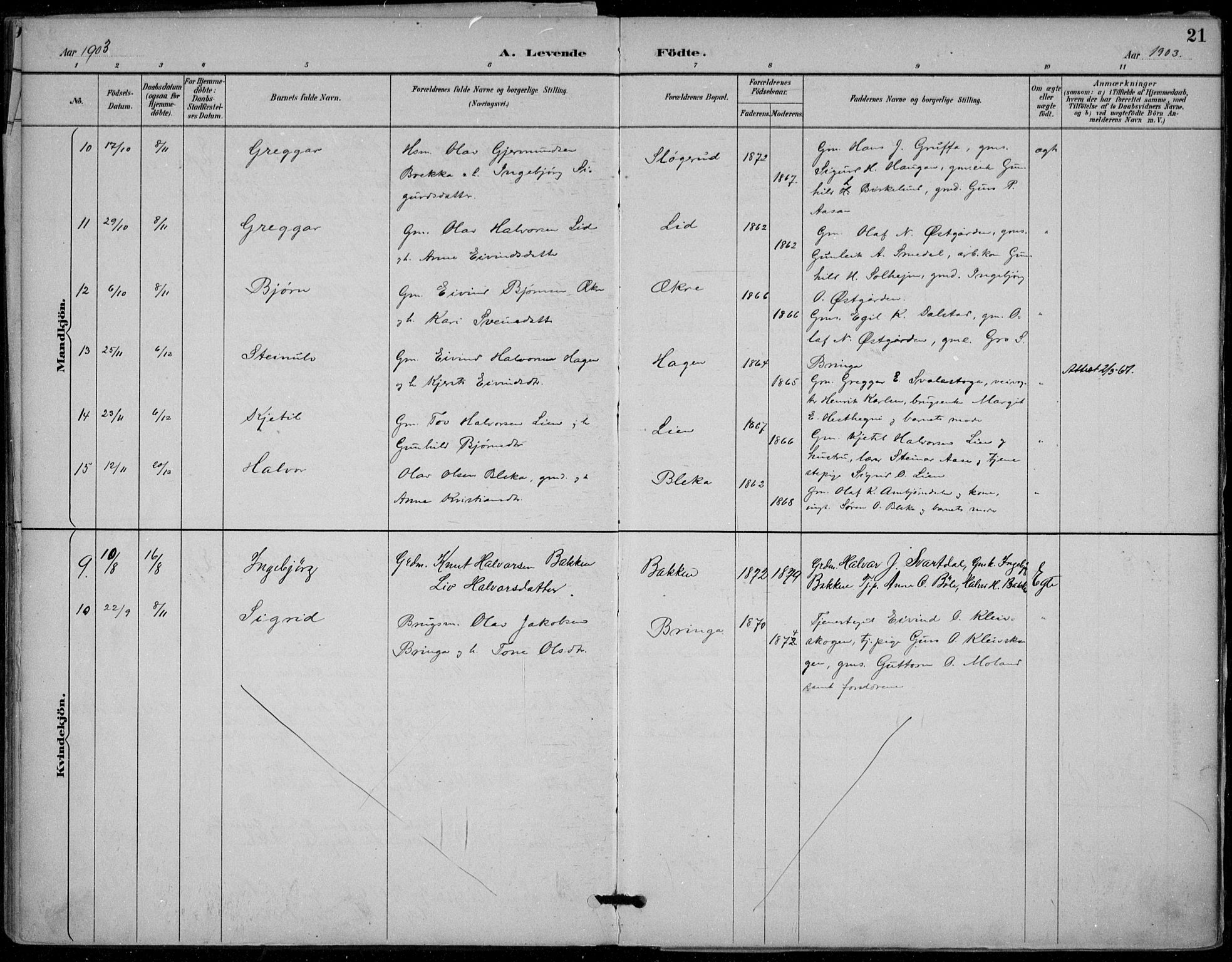 Seljord kirkebøker, AV/SAKO-A-20/F/Fb/L0002: Parish register (official) no. II 2, 1887-1917, p. 21