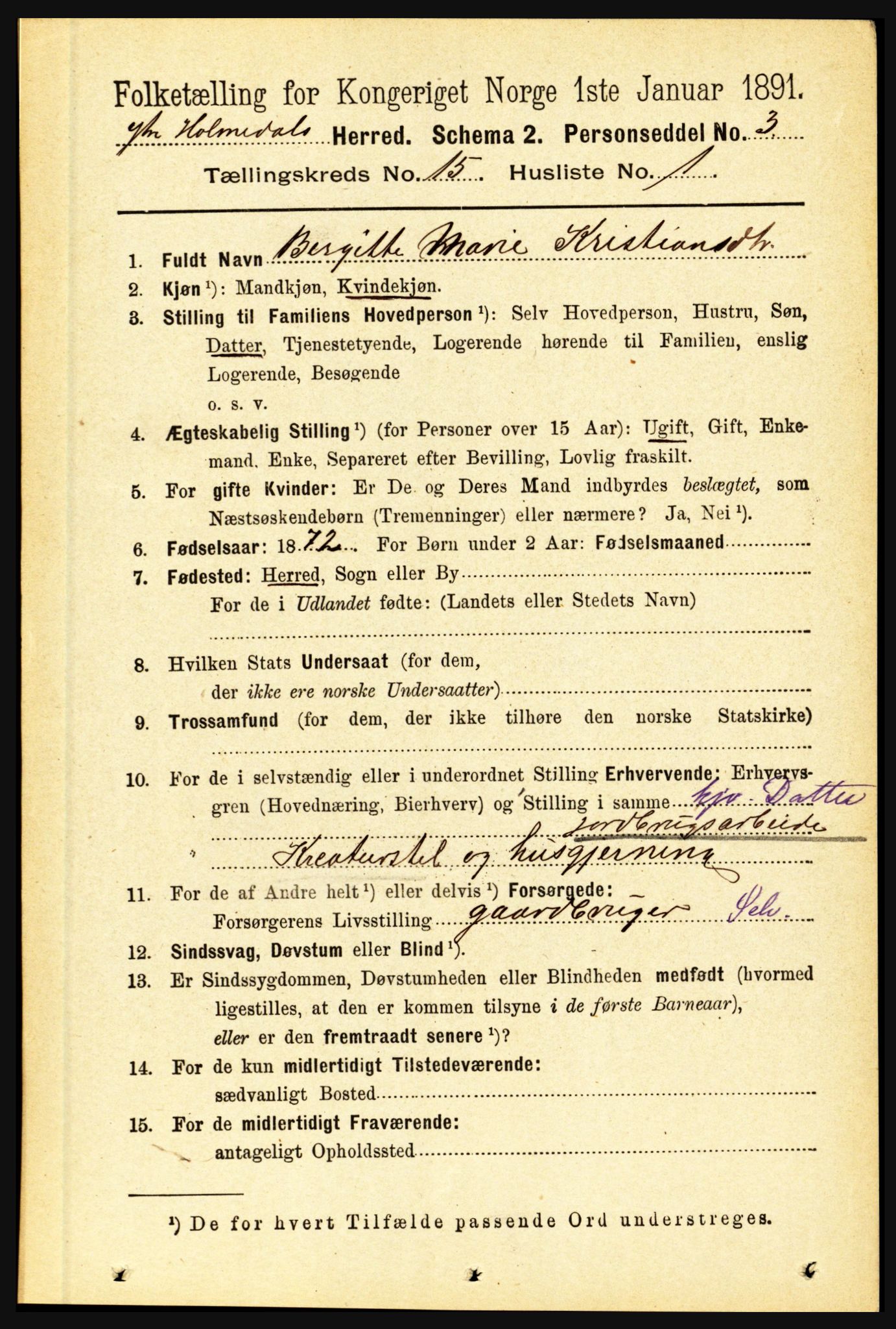 RA, 1891 census for 1429 Ytre Holmedal, 1891, p. 3991