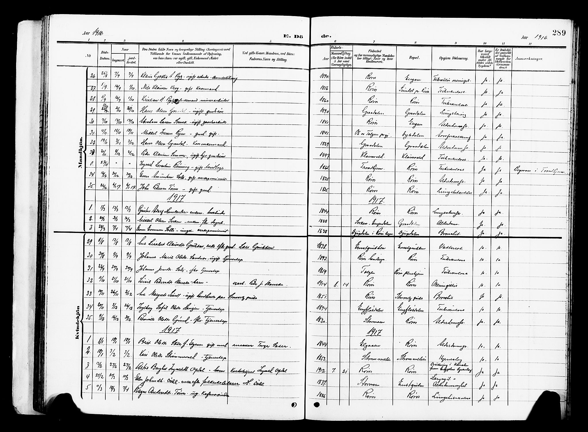 Ministerialprotokoller, klokkerbøker og fødselsregistre - Sør-Trøndelag, SAT/A-1456/681/L0942: Parish register (copy) no. 681C06, 1906-1925, p. 289