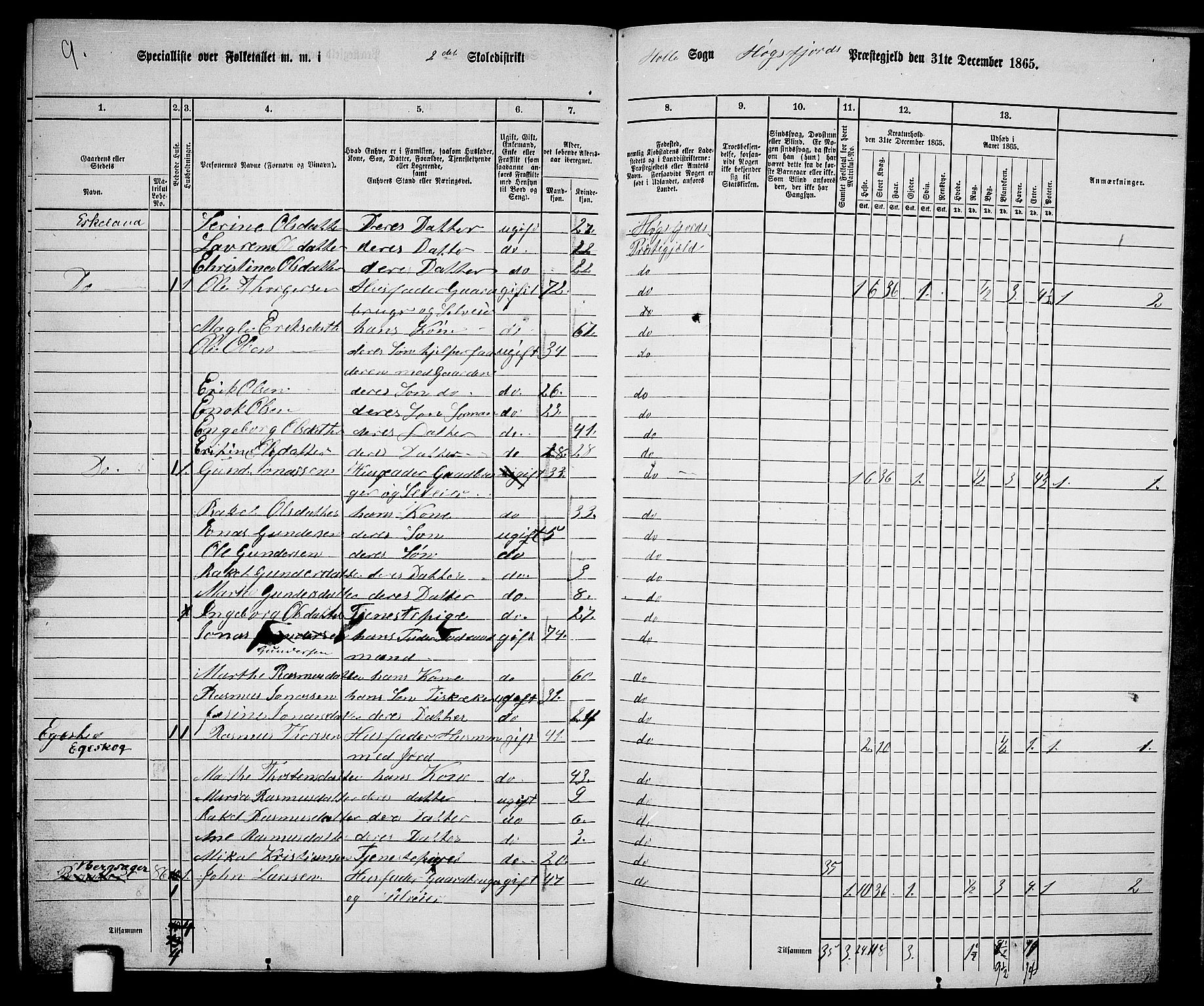 RA, 1865 census for Høgsfjord, 1865, p. 135