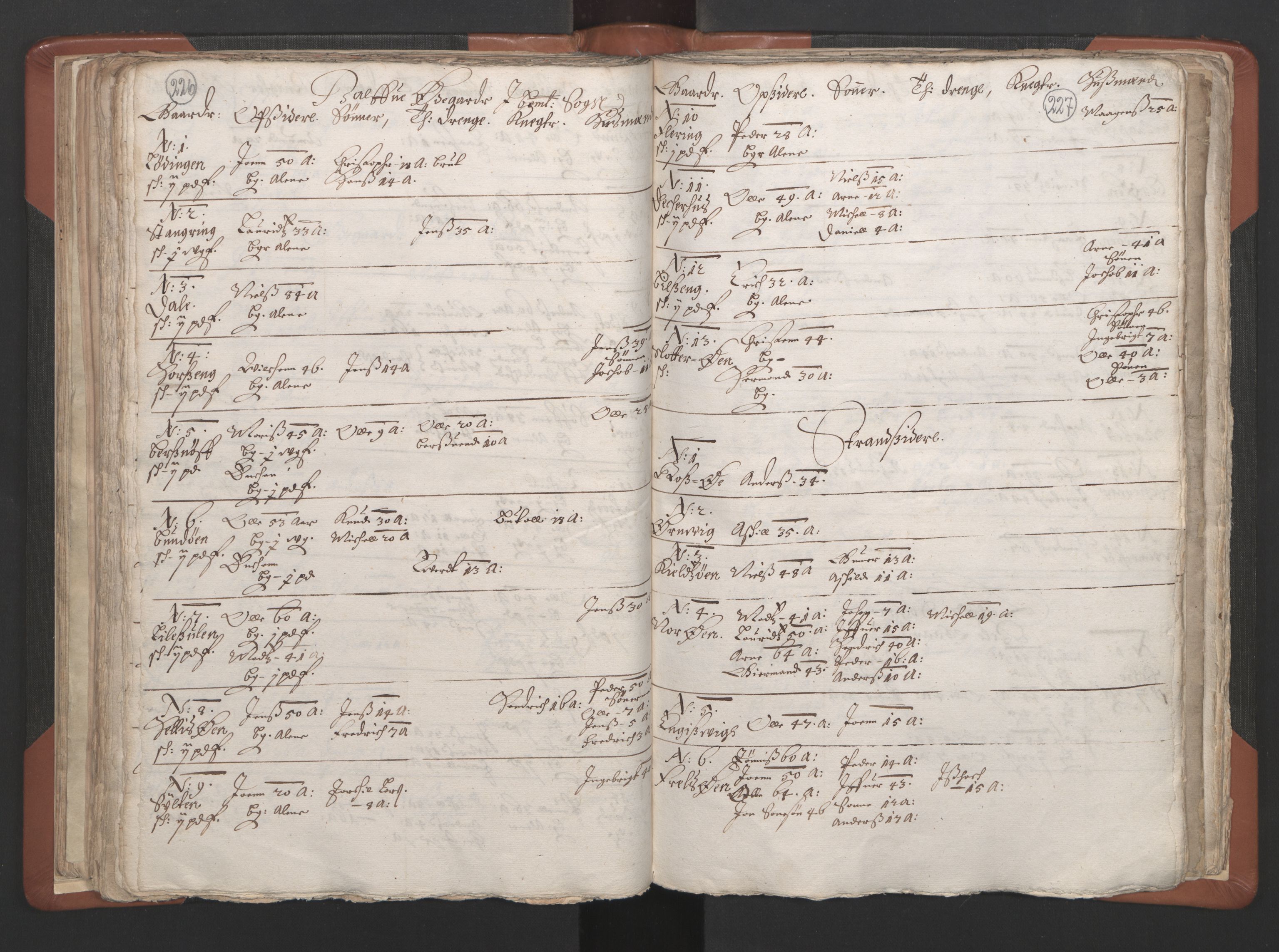 RA, Vicar's Census 1664-1666, no. 34: Namdal deanery, 1664-1666, p. 226-227
