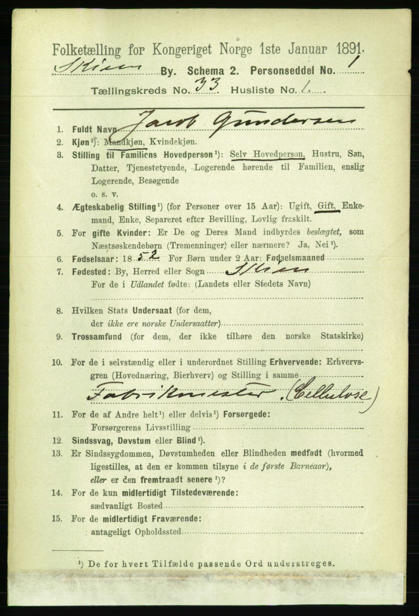 RA, 1891 census for 0806 Skien, 1891, p. 7491