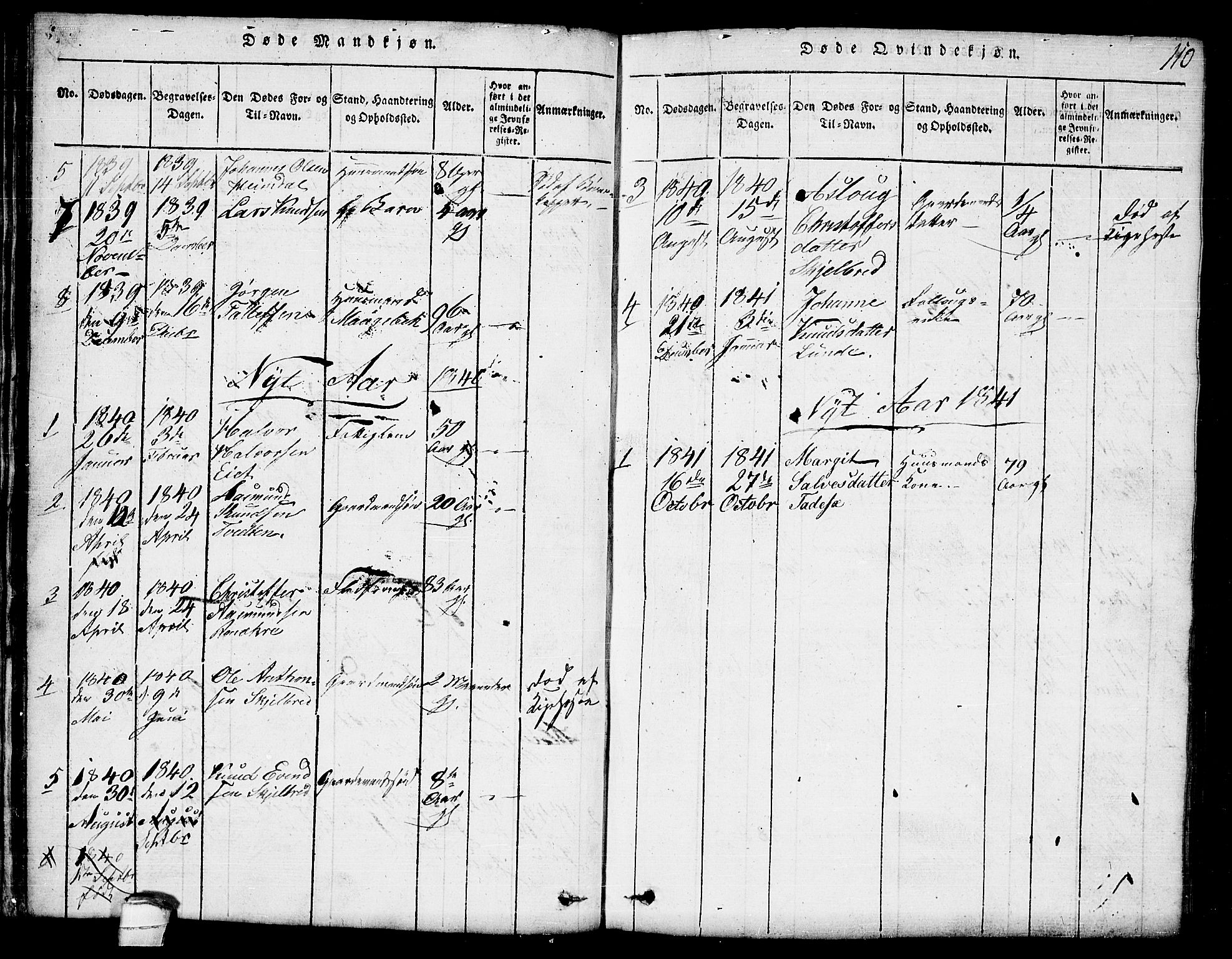 Lårdal kirkebøker, SAKO/A-284/G/Ga/L0001: Parish register (copy) no. I 1, 1815-1861, p. 110