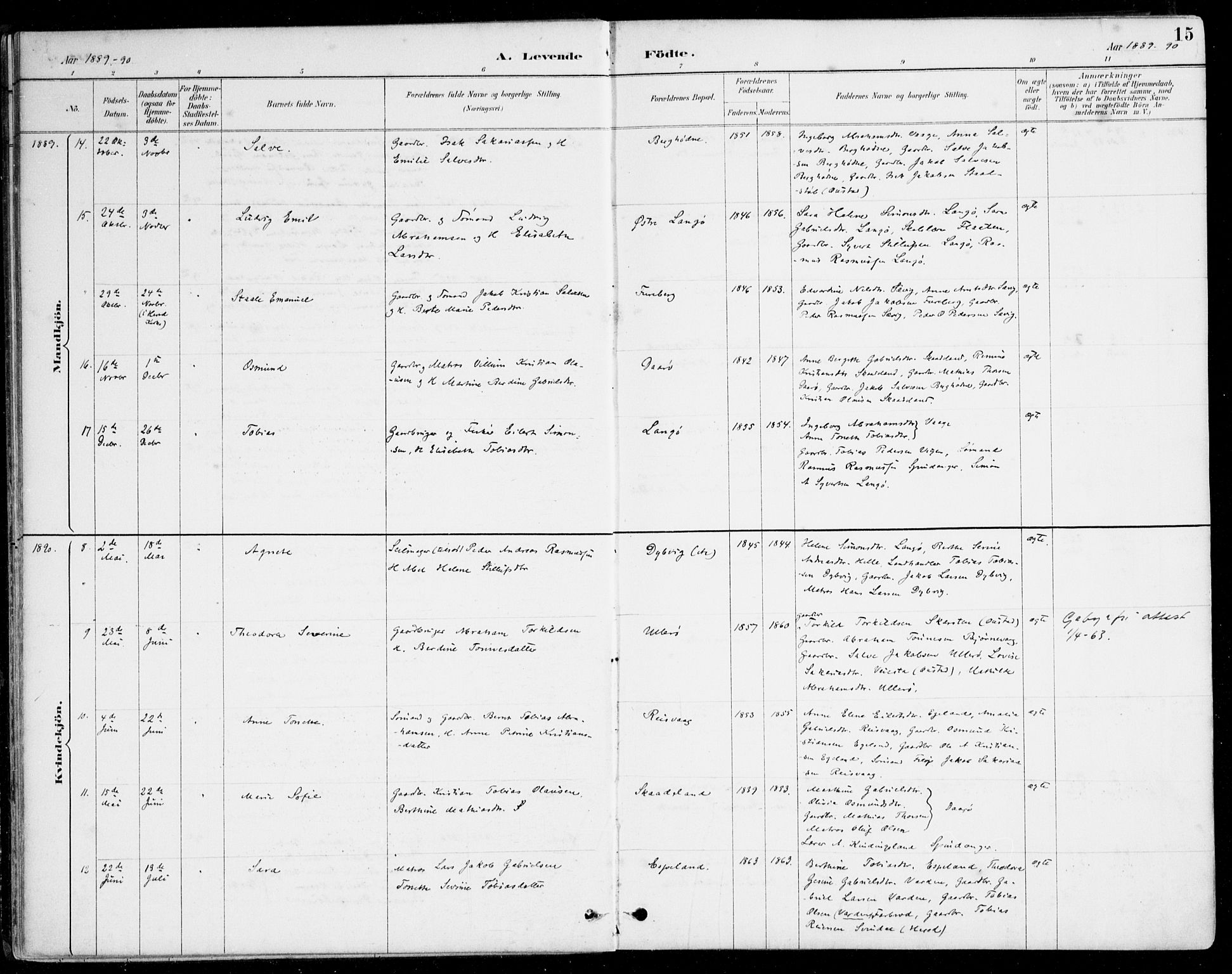 Herad sokneprestkontor, AV/SAK-1111-0018/F/Fa/Fab/L0005: Parish register (official) no. A 5, 1886-1913, p. 15