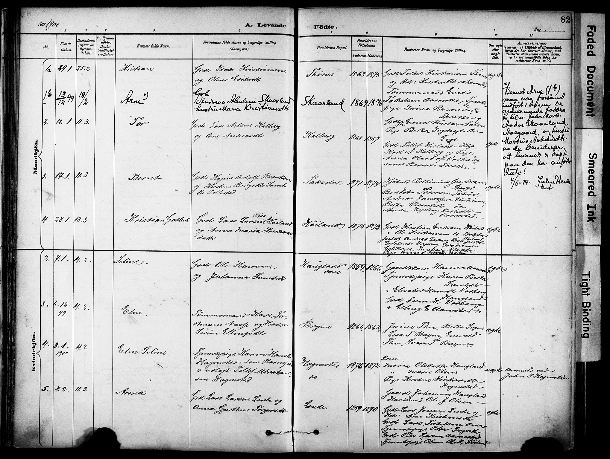 Lye sokneprestkontor, AV/SAST-A-101794/001/30BA/L0011: Parish register (official) no. A 9, 1893-1903, p. 82