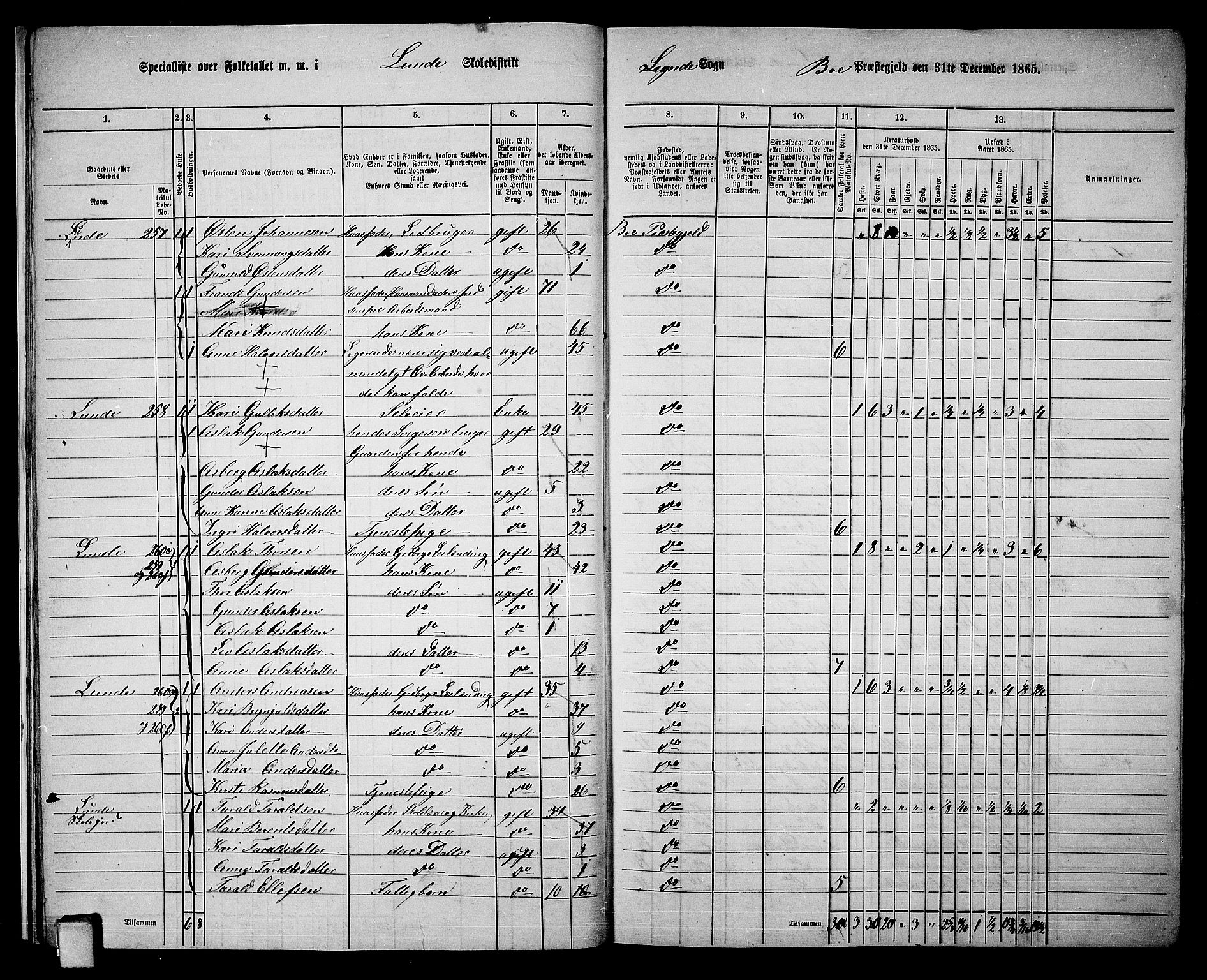 RA, 1865 census for Bø, 1865, p. 21