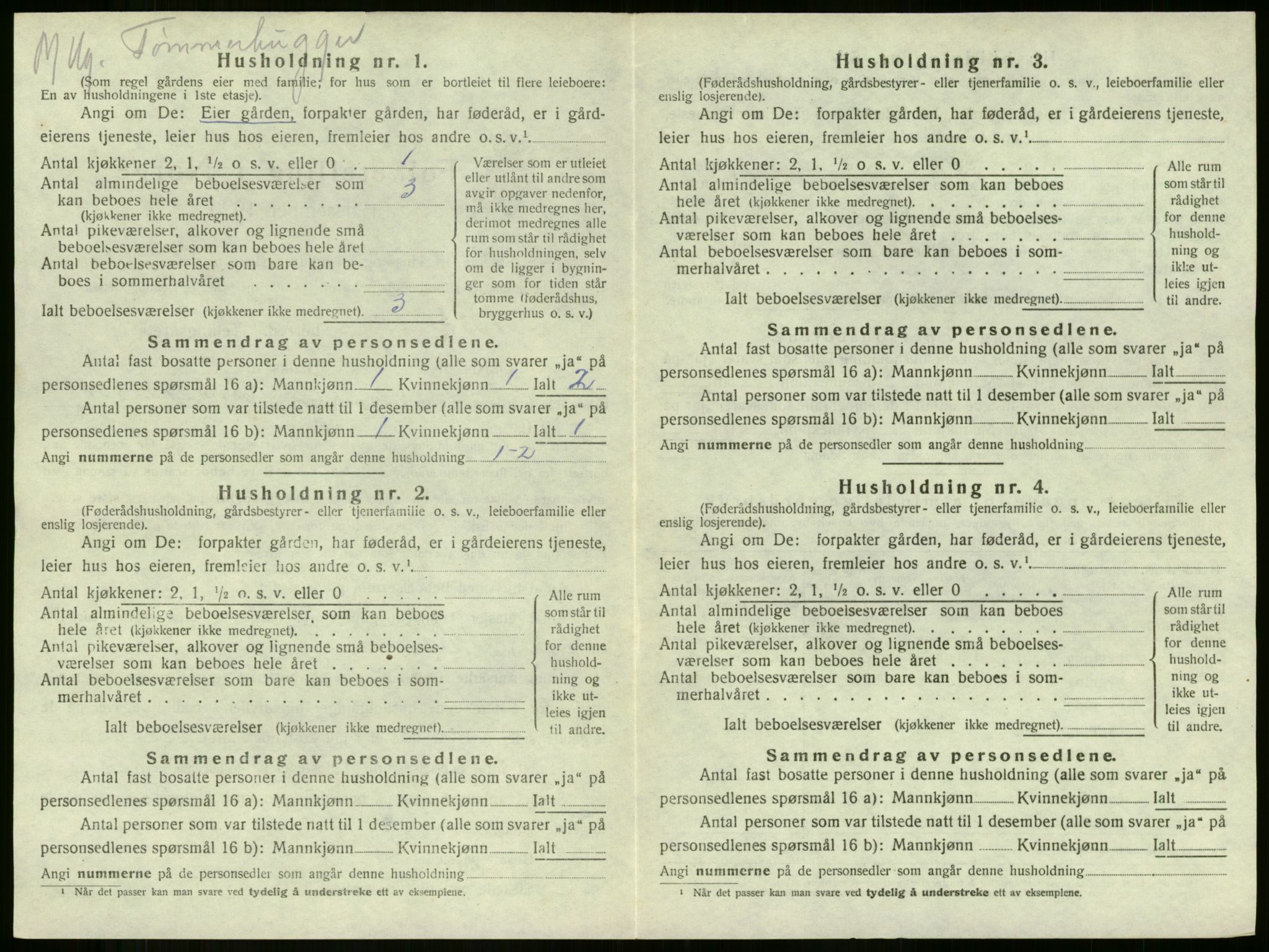 SAKO, 1920 census for Botne, 1920, p. 472