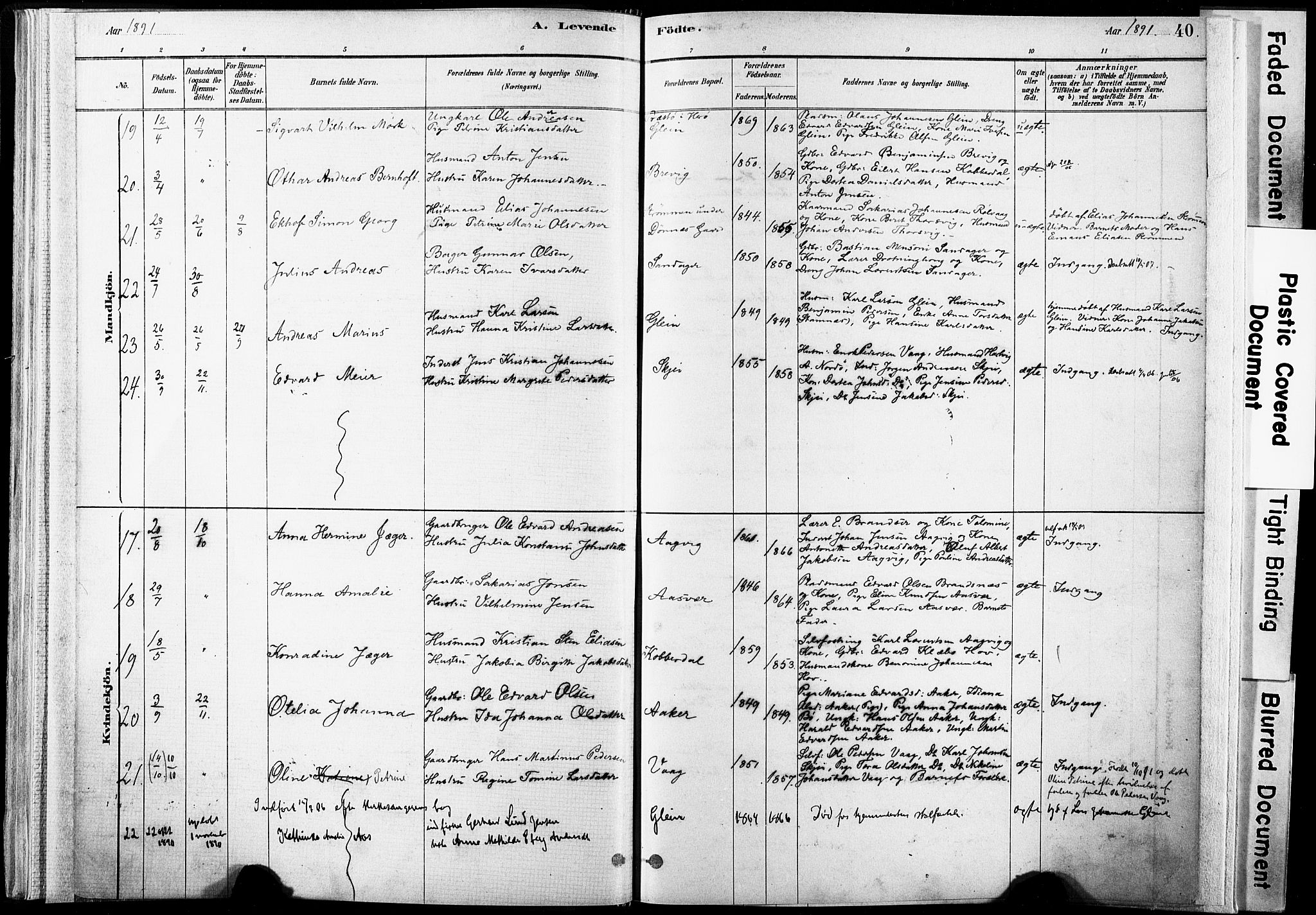 Ministerialprotokoller, klokkerbøker og fødselsregistre - Nordland, AV/SAT-A-1459/835/L0525: Parish register (official) no. 835A03I, 1881-1910, p. 40