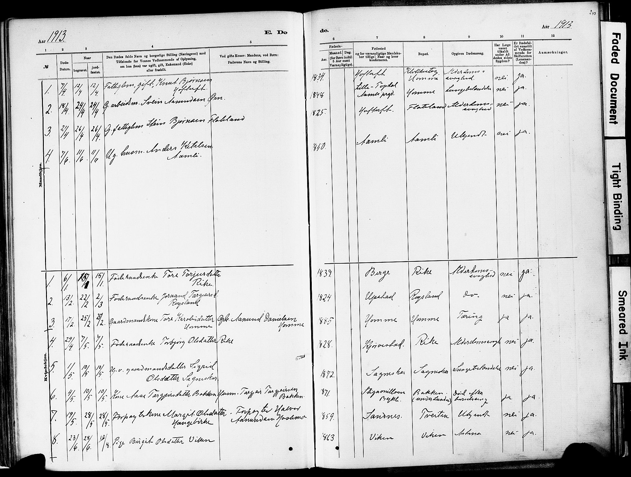 Valle sokneprestkontor, SAK/1111-0044/F/Fa/Fac/L0009: Parish register (official) no. A 9, 1882-1913, p. 243