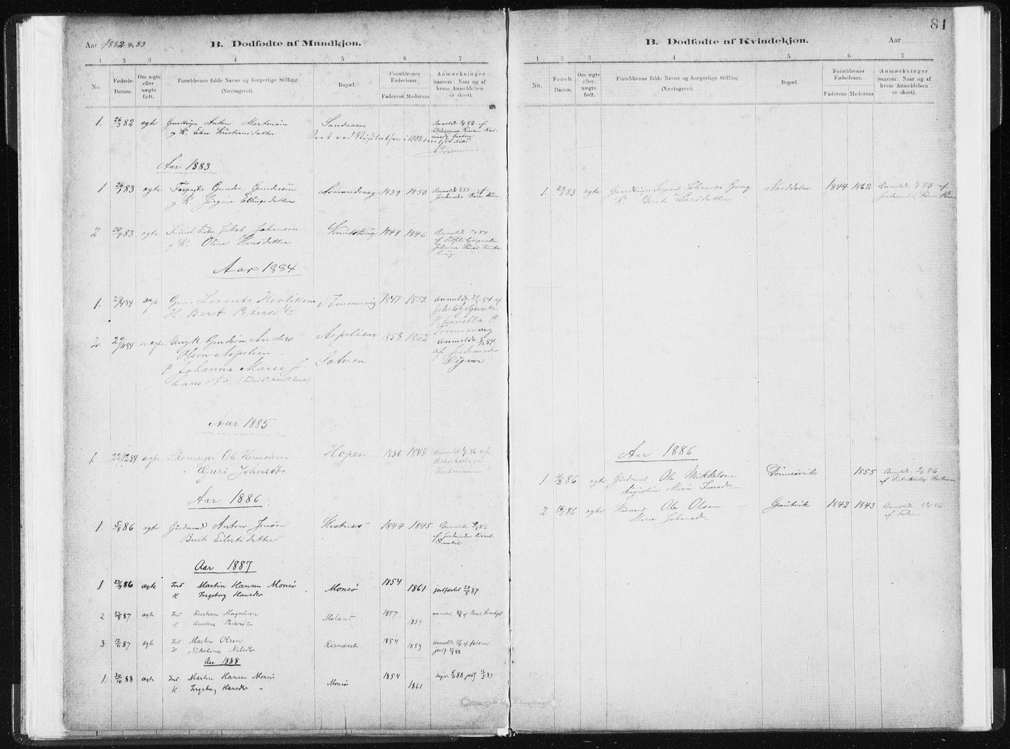 Ministerialprotokoller, klokkerbøker og fødselsregistre - Sør-Trøndelag, SAT/A-1456/634/L0533: Parish register (official) no. 634A09, 1882-1901, p. 81