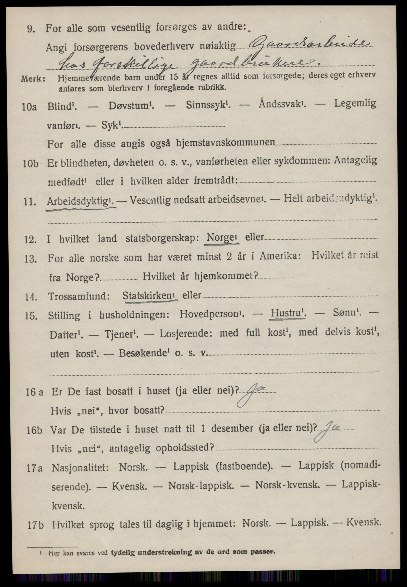 SAT, 1920 census for Hemne, 1920, p. 3113