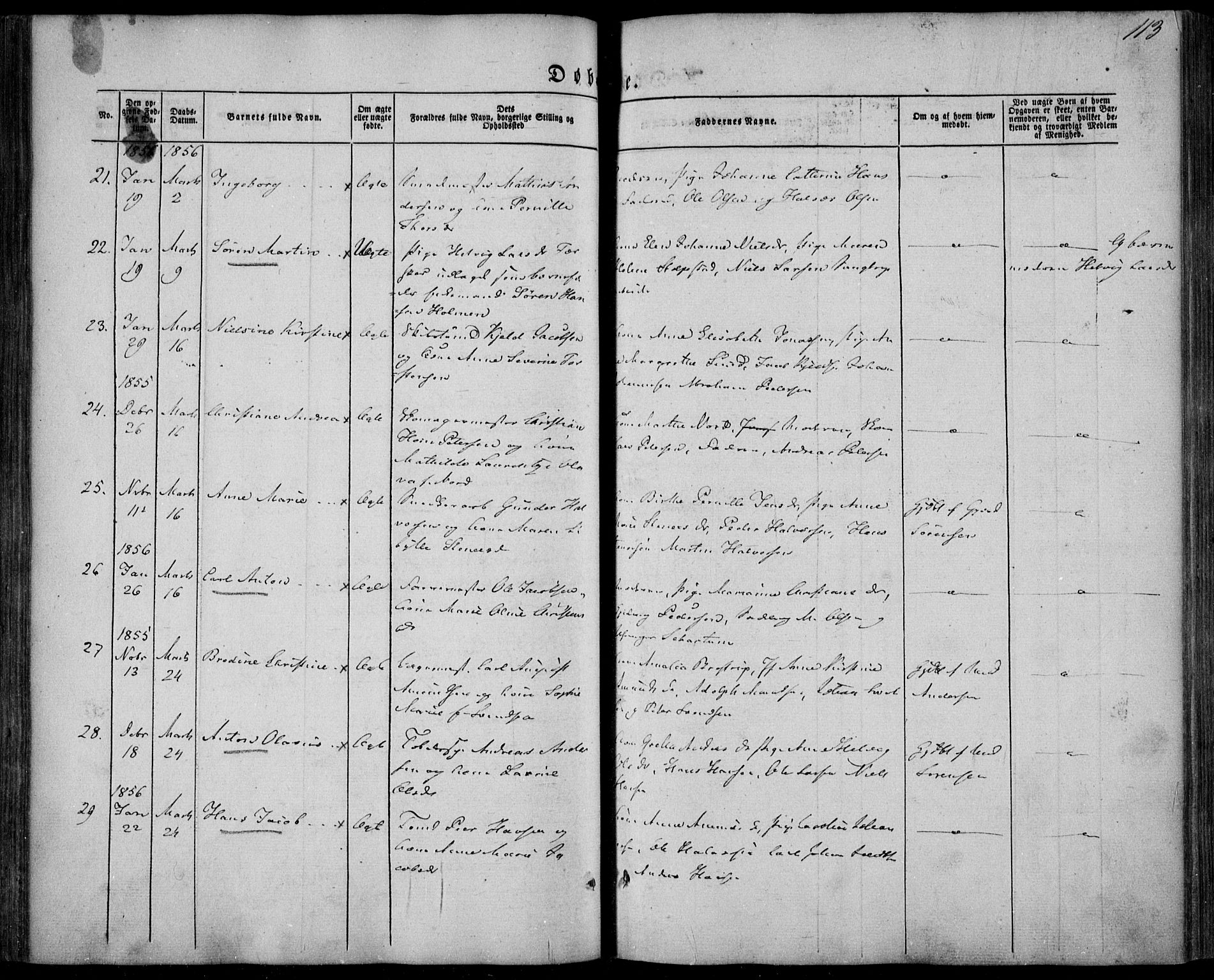 Larvik kirkebøker, SAKO/A-352/F/Fa/L0003: Parish register (official) no. I 3, 1848-1856, p. 113