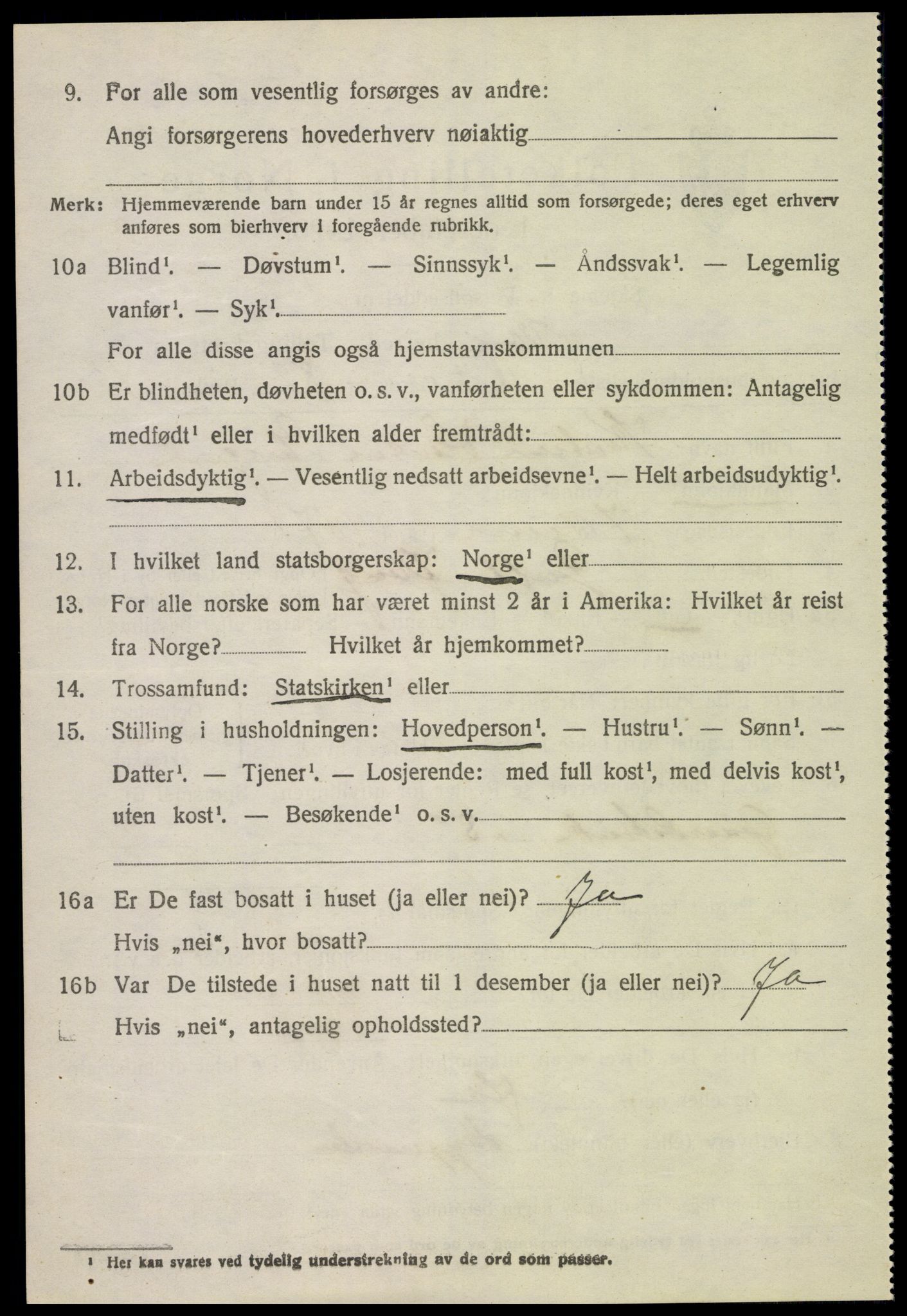 SAH, 1920 census for Vang (Hedmark), 1920, p. 17004