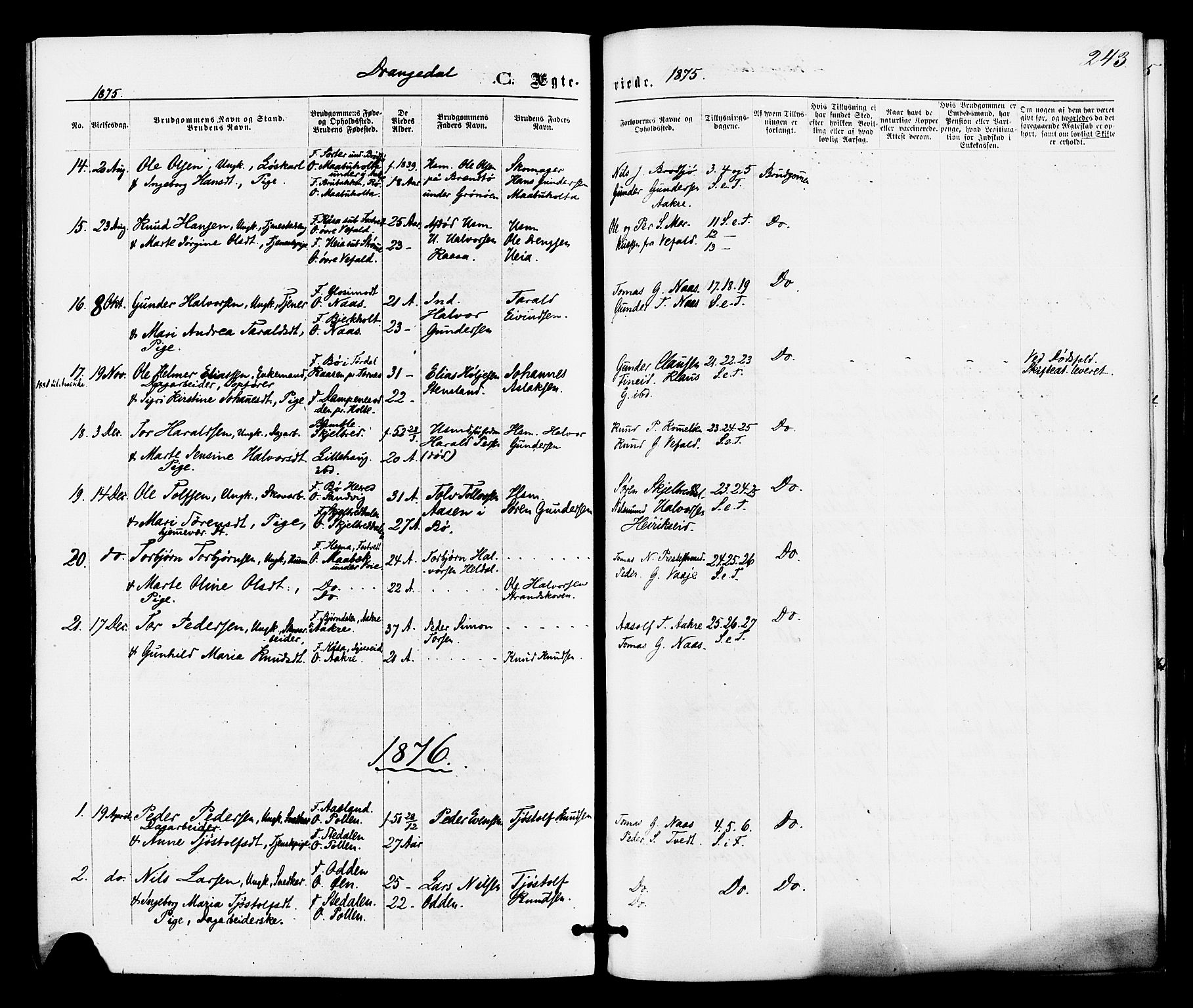 Drangedal kirkebøker, SAKO/A-258/F/Fa/L0009: Parish register (official) no. 9 /1, 1872-1884, p. 243