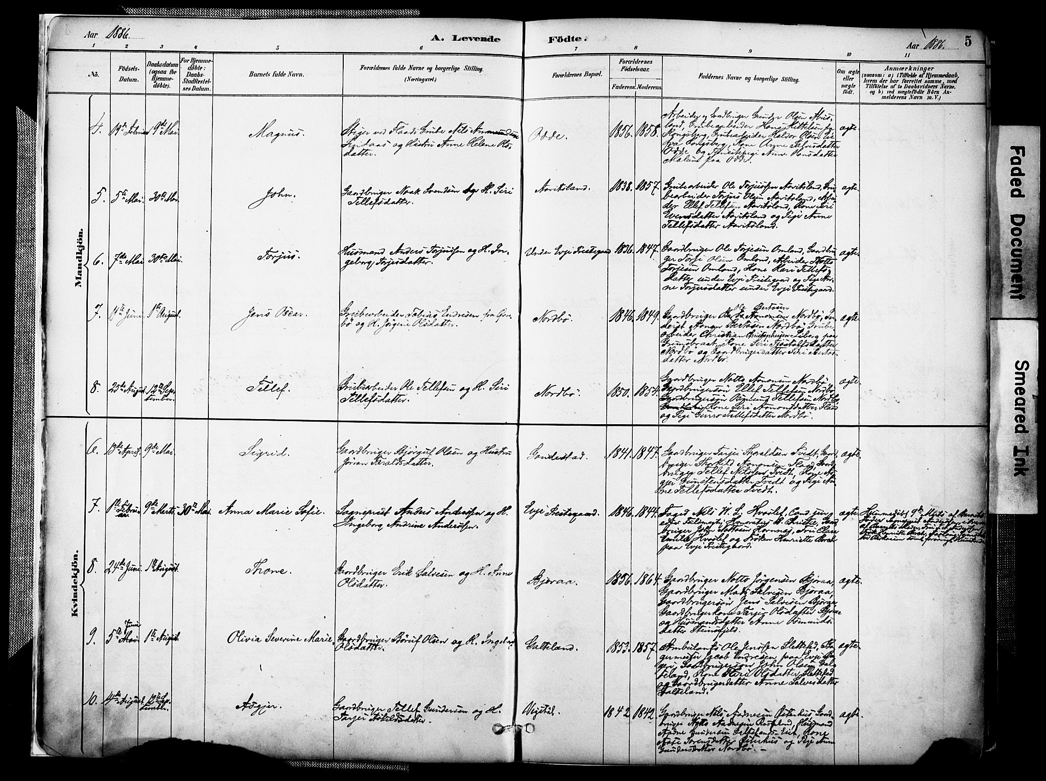 Evje sokneprestkontor, AV/SAK-1111-0008/F/Fa/Faa/L0007: Parish register (official) no. A 7, 1884-1909, p. 5