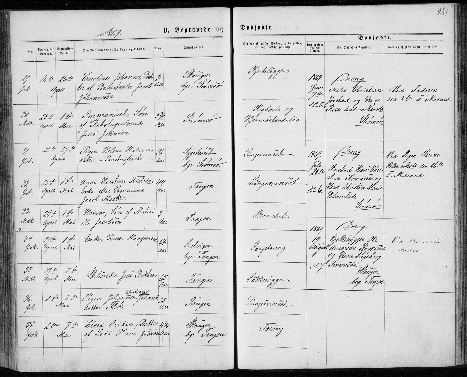 Strømsø kirkebøker, SAKO/A-246/F/Fa/L0016: Parish register (official) no. I 16, 1868-1873, p. 251