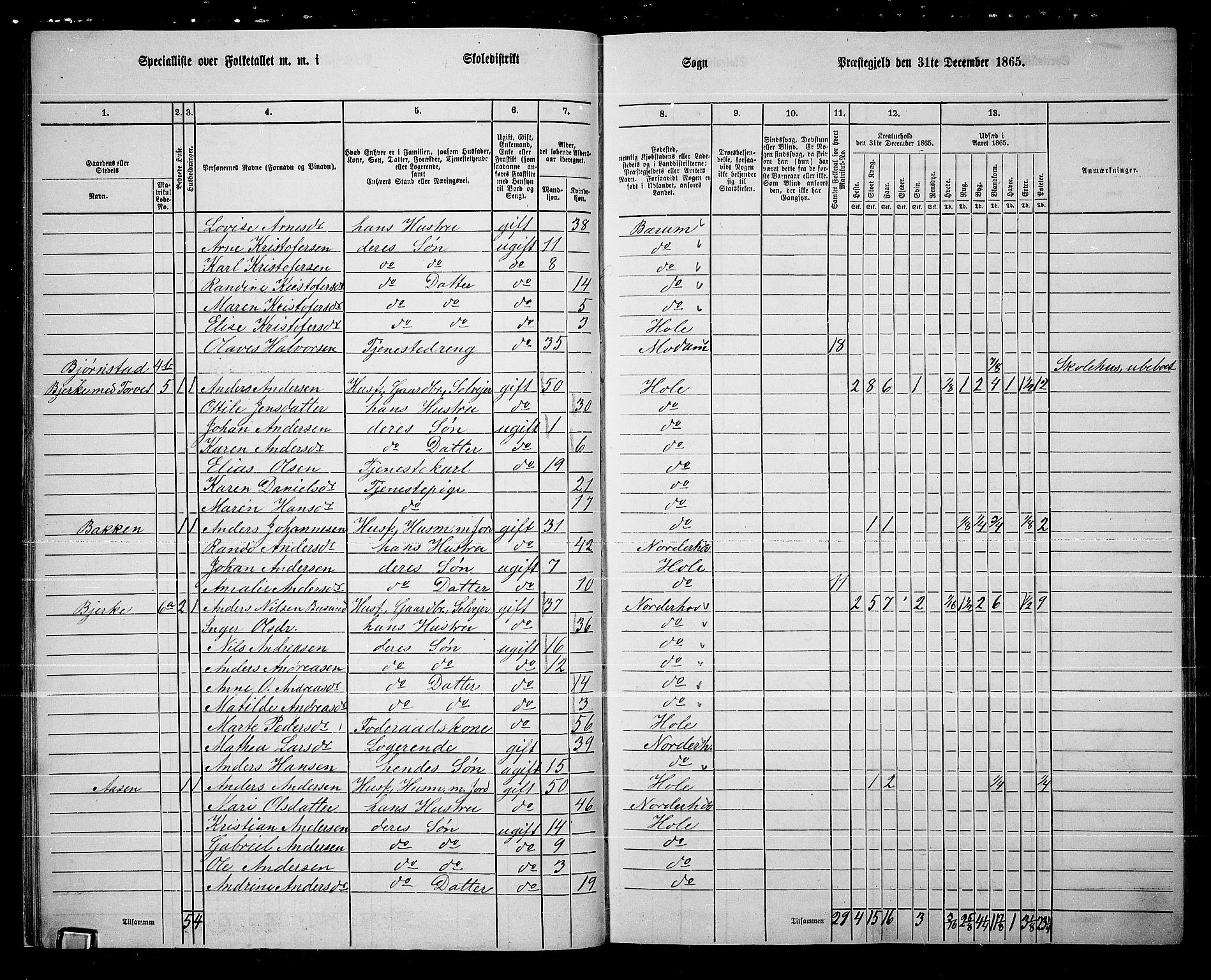 RA, 1865 census for Hole, 1865, p. 17