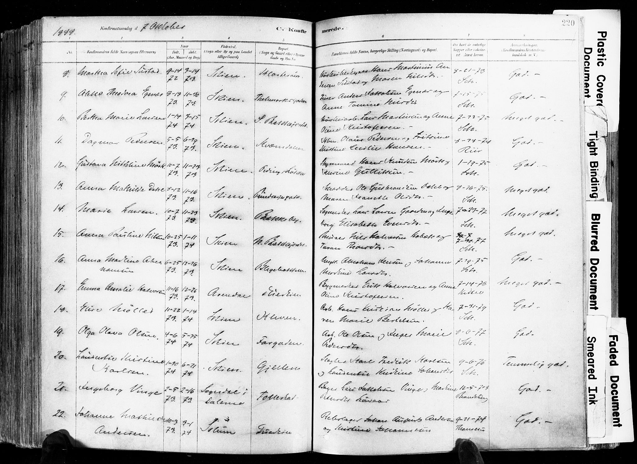 Skien kirkebøker, SAKO/A-302/F/Fa/L0009: Parish register (official) no. 9, 1878-1890, p. 220