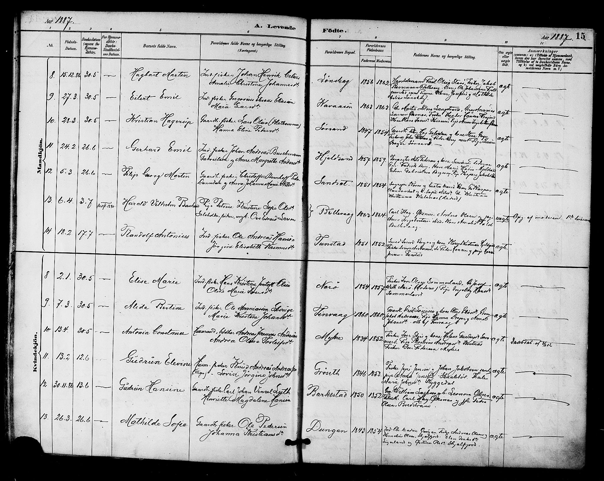 Ministerialprotokoller, klokkerbøker og fødselsregistre - Nordland, AV/SAT-A-1459/893/L1337: Parish register (official) no. 893A09, 1885-1893, p. 15