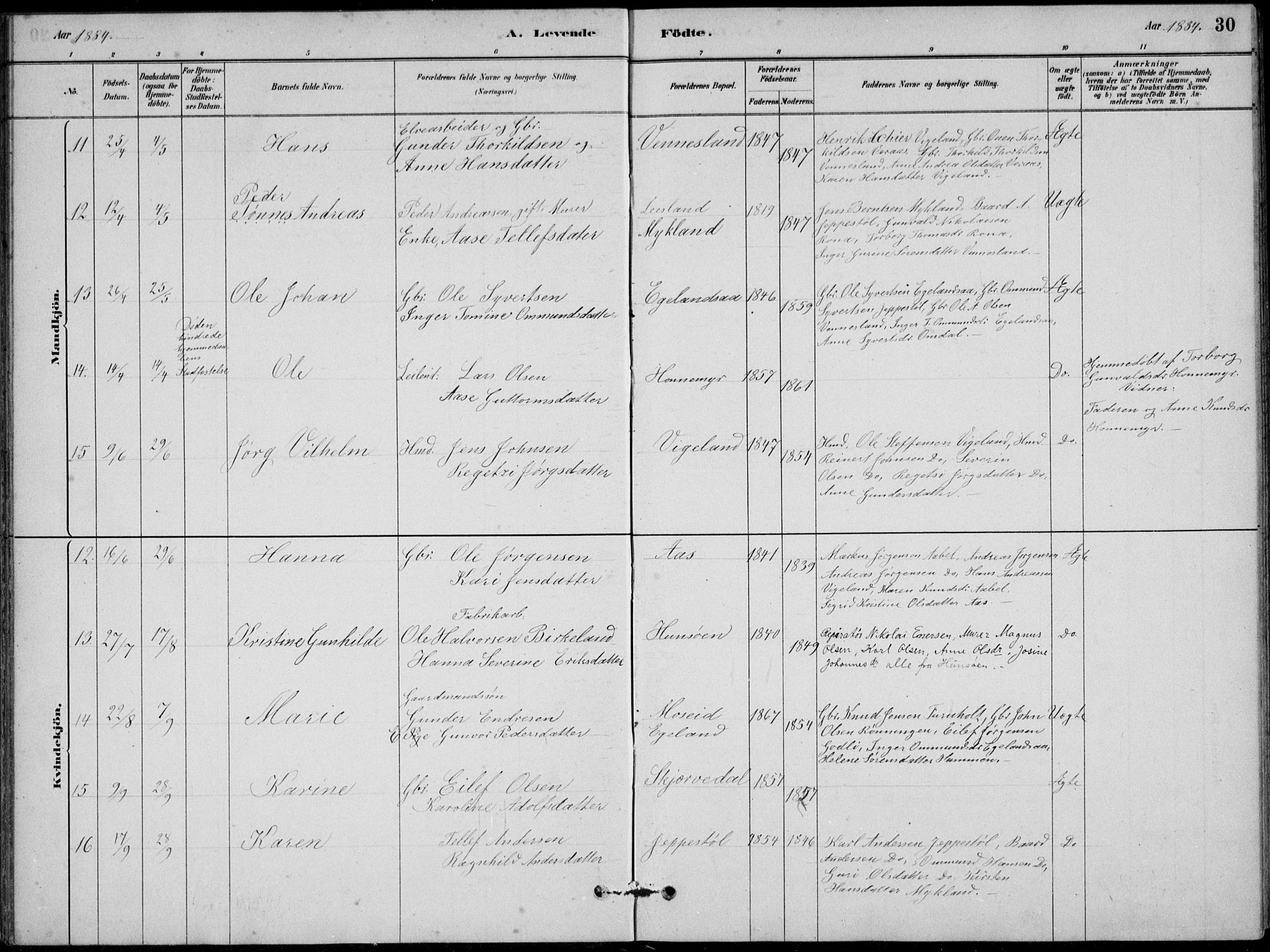 Vennesla sokneprestkontor, AV/SAK-1111-0045/Fb/Fbb/L0003: Parish register (copy) no. B 3, 1879-1893, p. 30