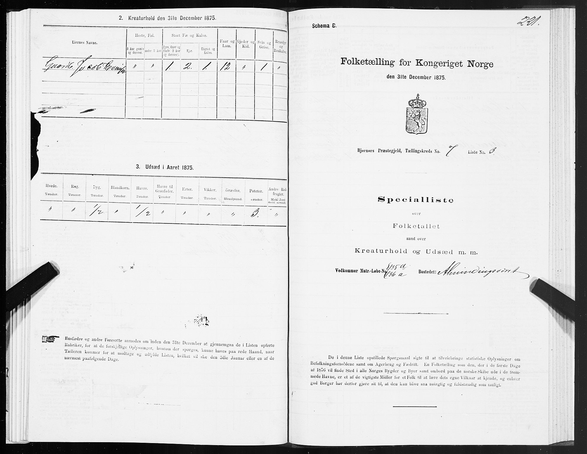 SAT, 1875 census for 1632P Bjørnør, 1875, p. 3221