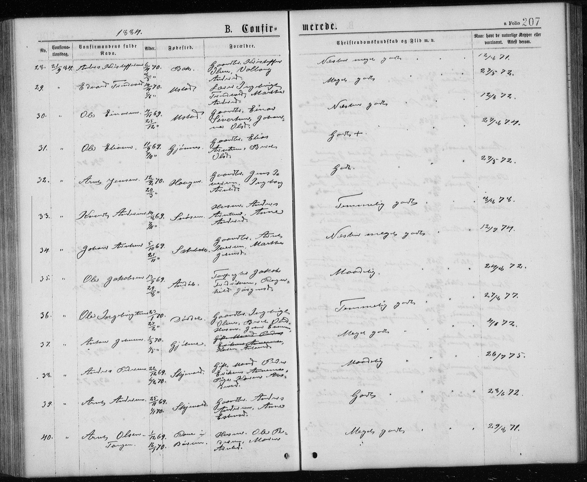 Ministerialprotokoller, klokkerbøker og fødselsregistre - Sør-Trøndelag, AV/SAT-A-1456/668/L0817: Parish register (copy) no. 668C06, 1873-1884, p. 207