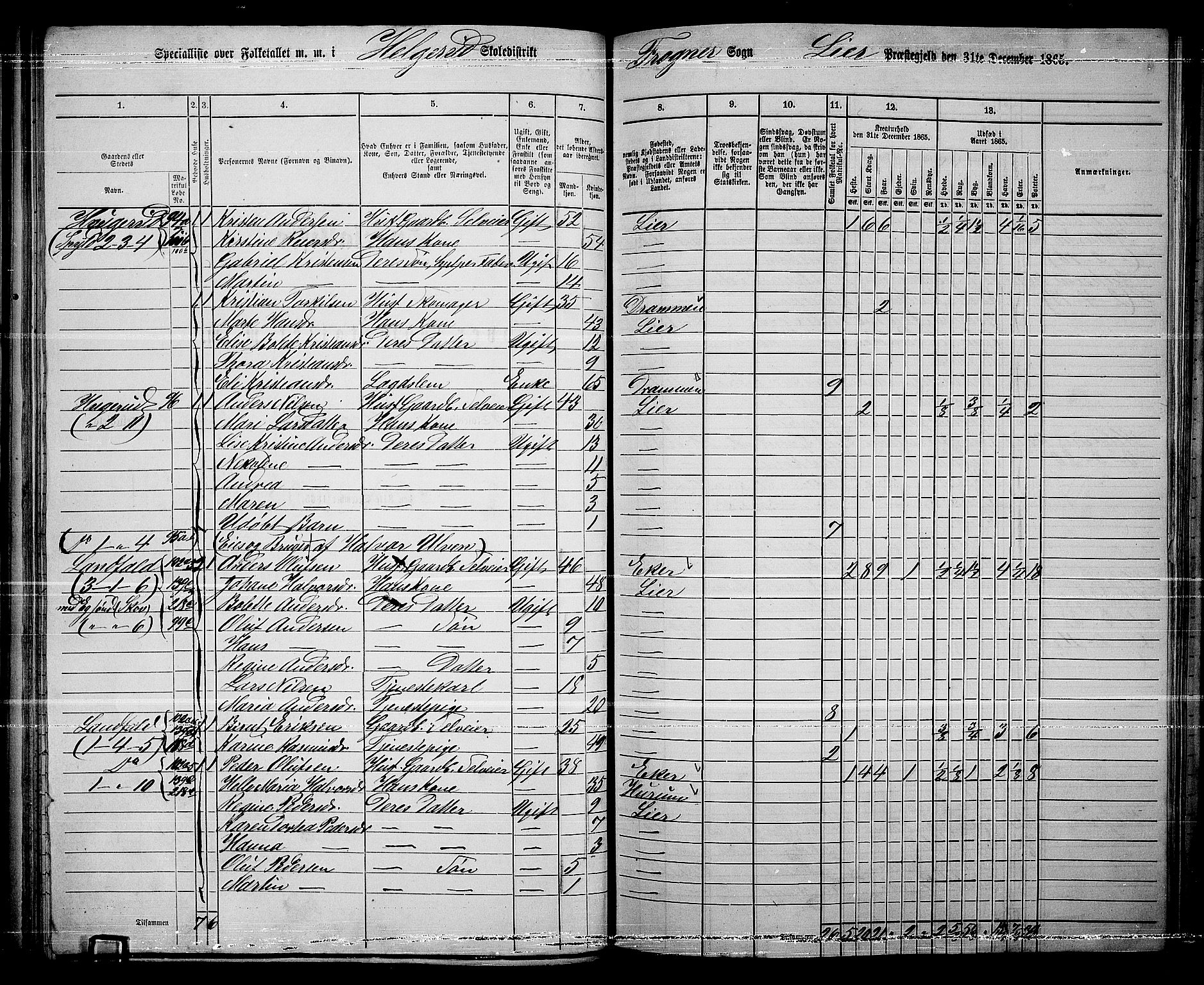 RA, 1865 census for Lier, 1865, p. 70